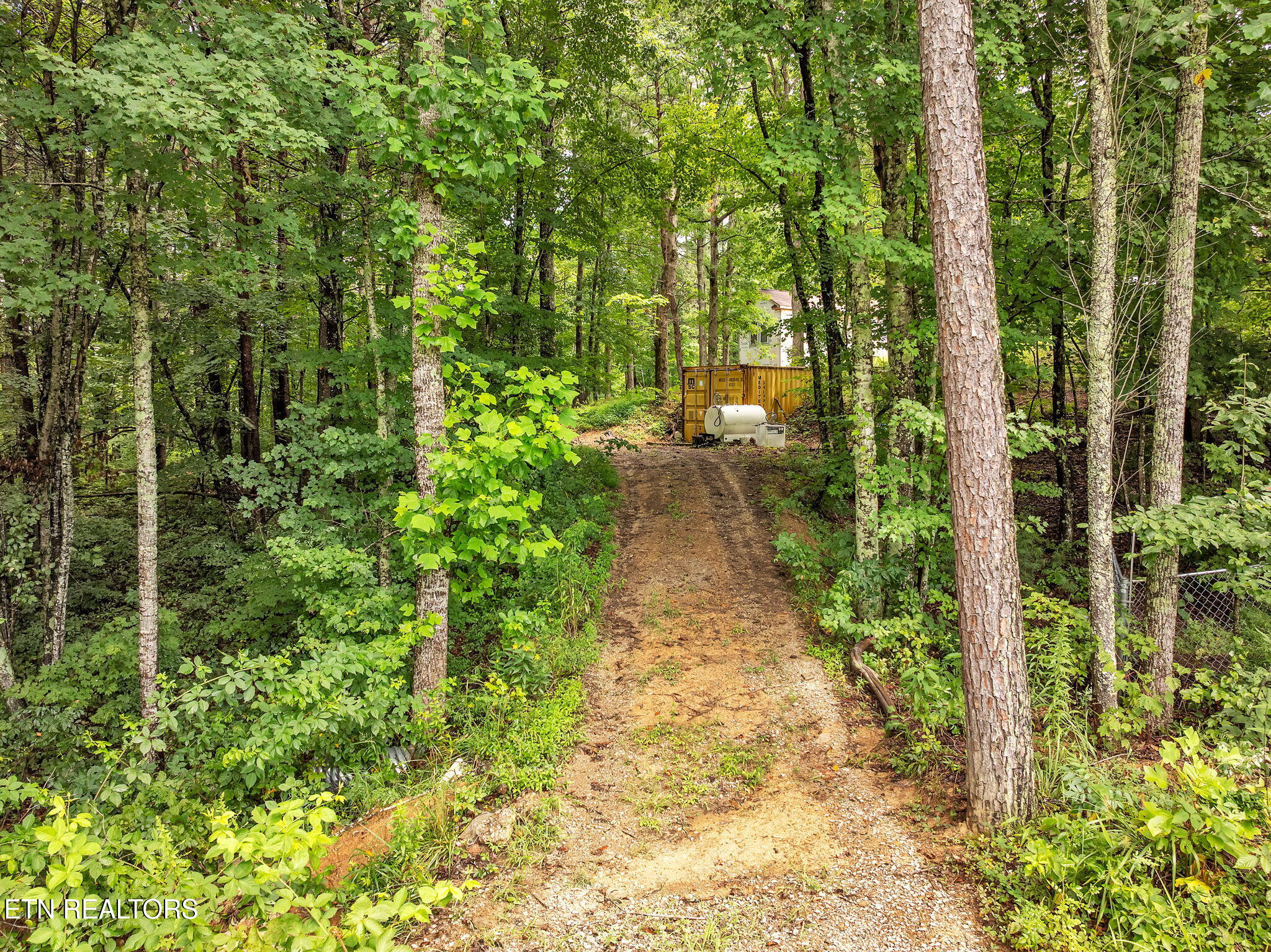 351 Zac Road Sunbright TN 37872