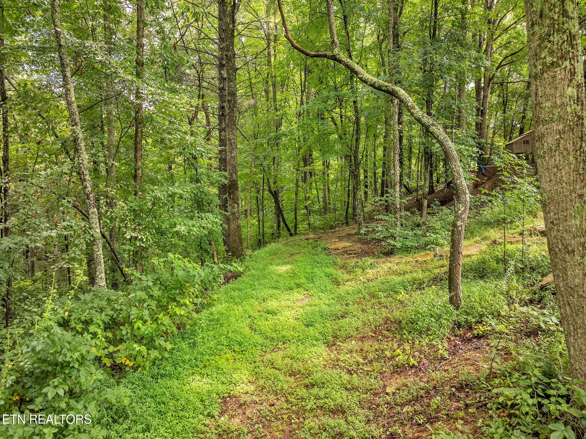 351 Zac Road Sunbright TN 37872