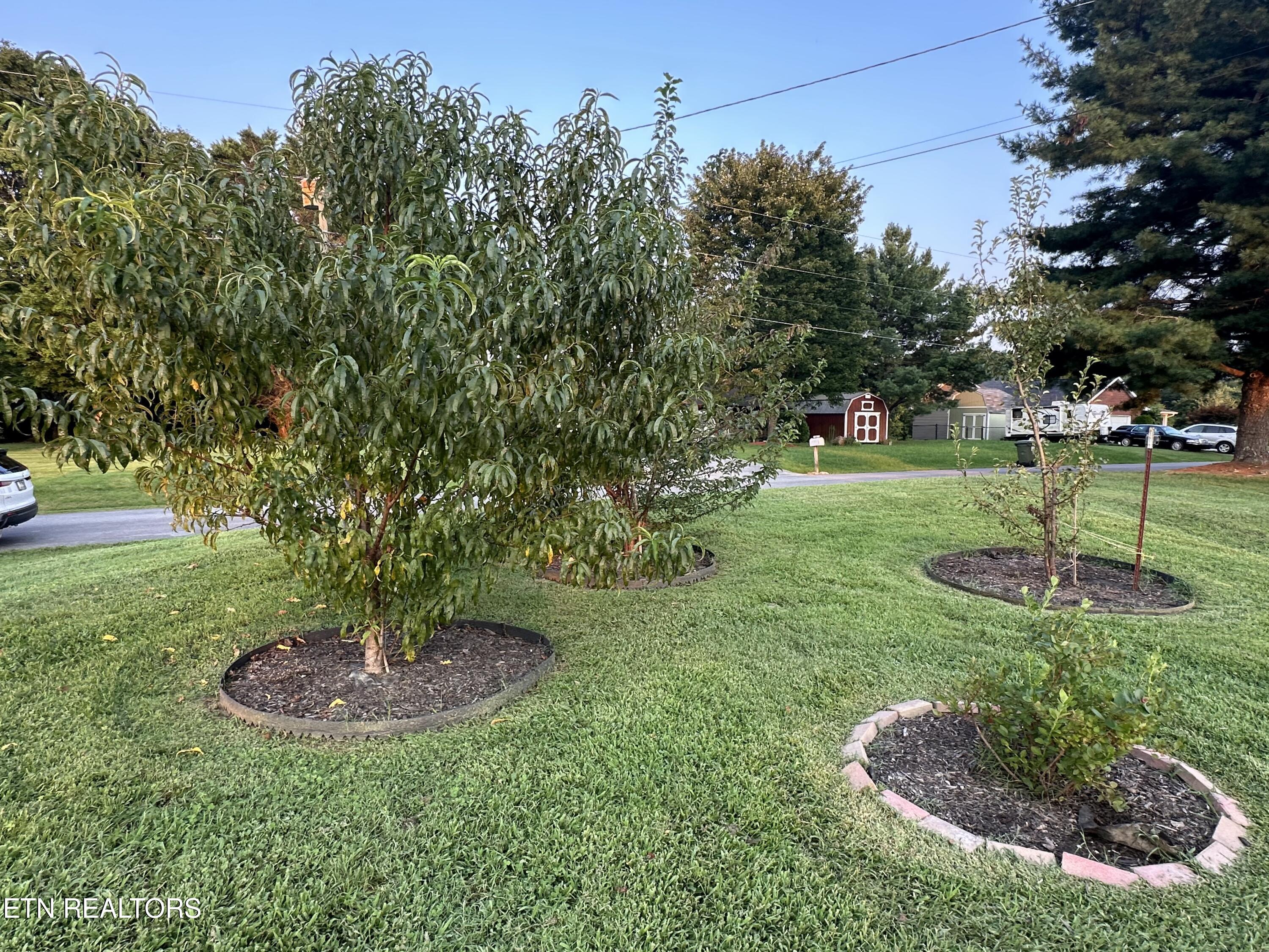 1017 Valley View Circle Sevierville TN 37876