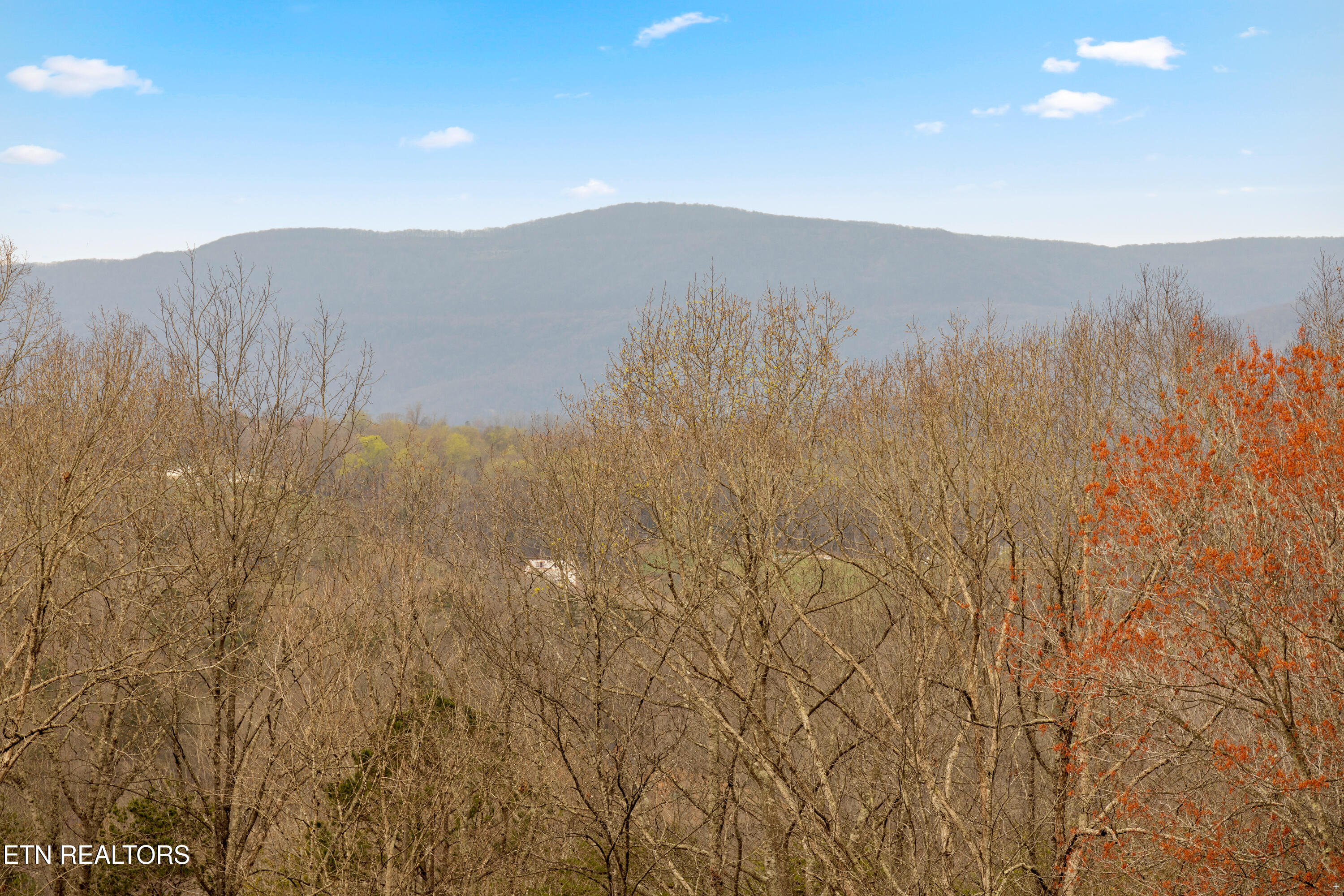 105 Wildwood Trail Andersonville TN 37705