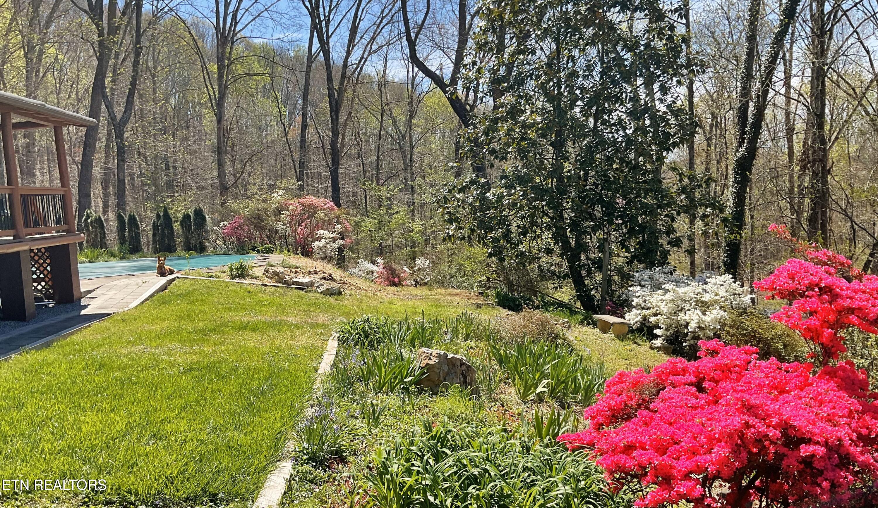 105 Wildwood Trail Andersonville TN 37705