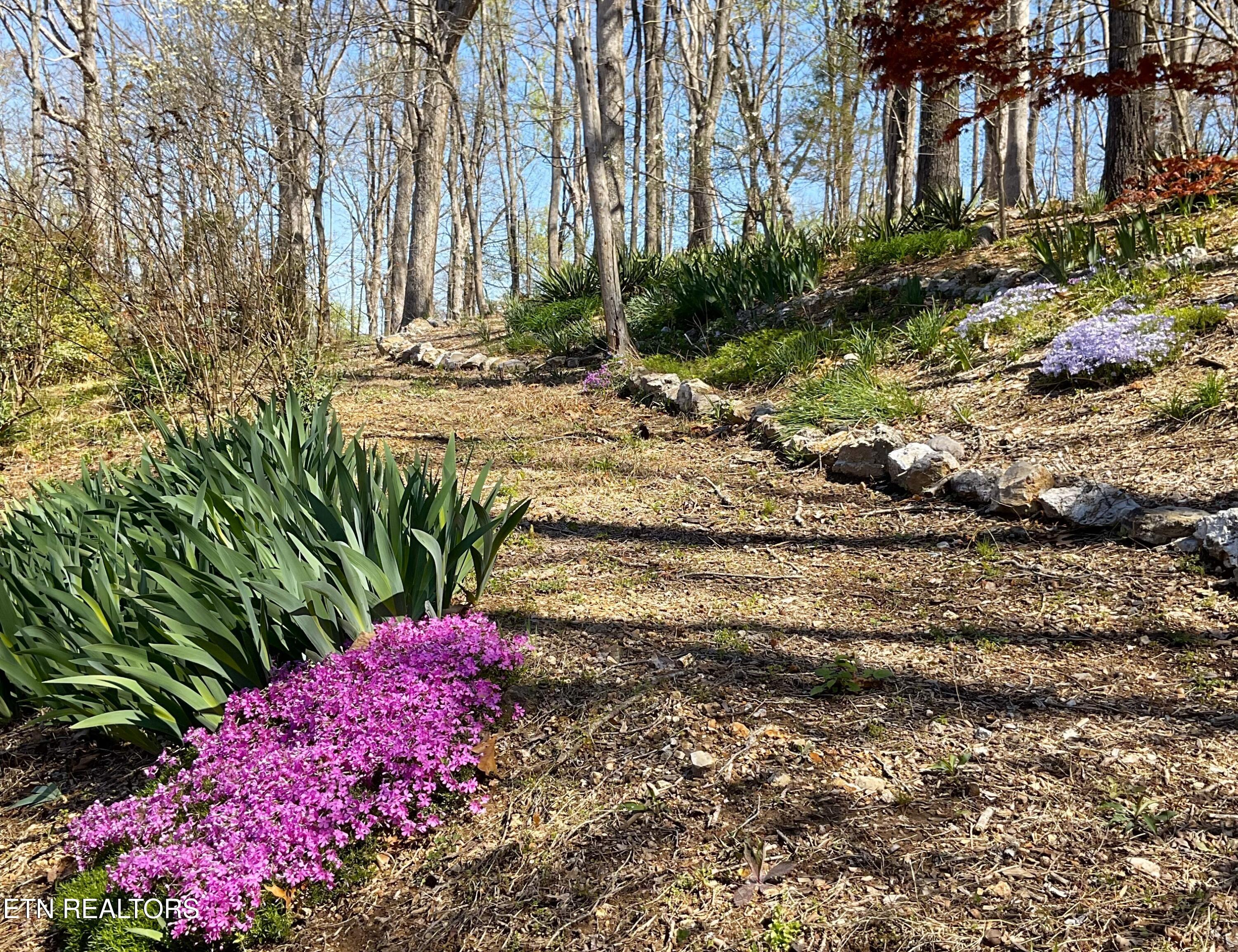 105 Wildwood Trail Andersonville TN 37705