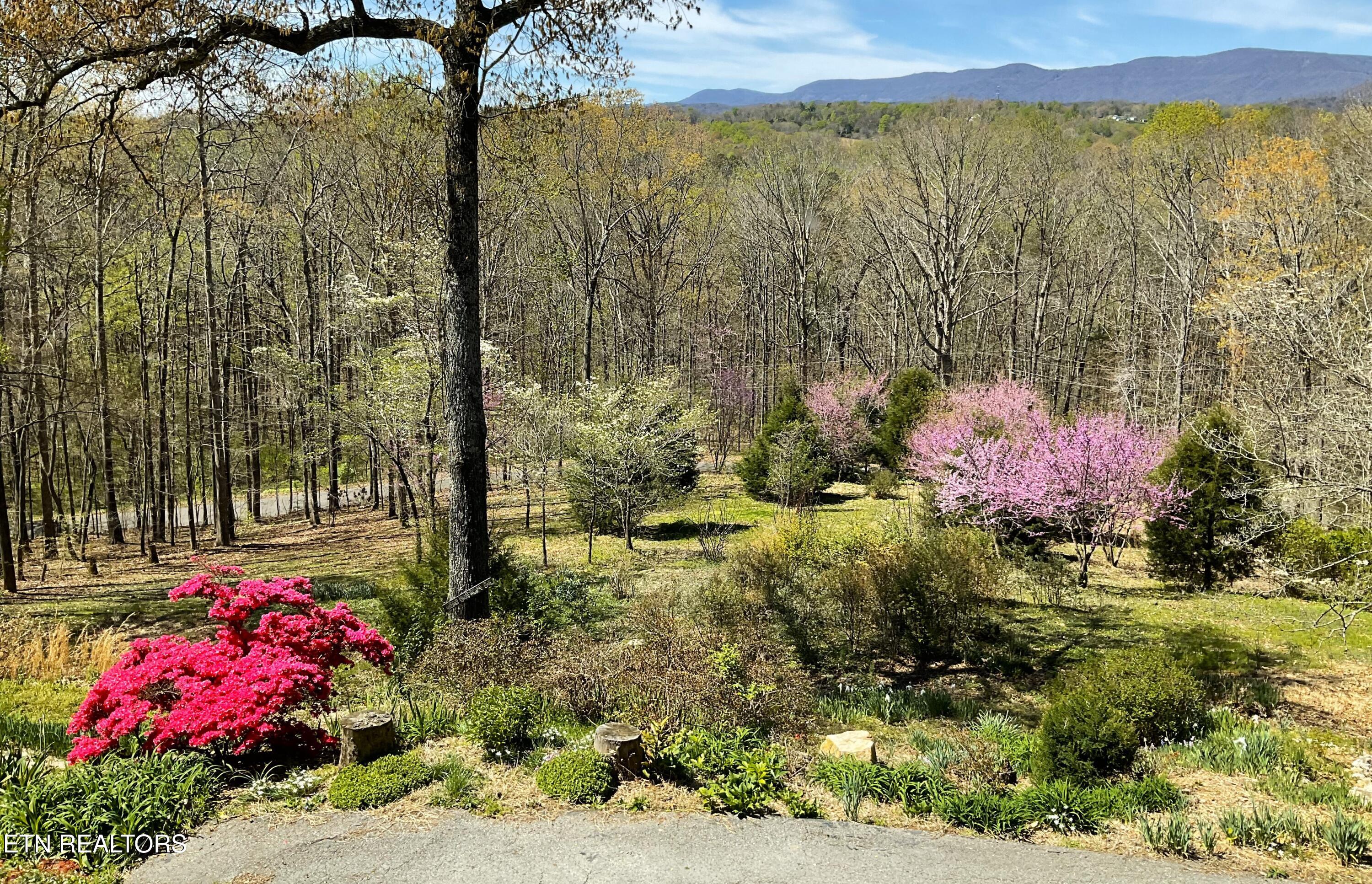105 Wildwood Trail Andersonville TN 37705