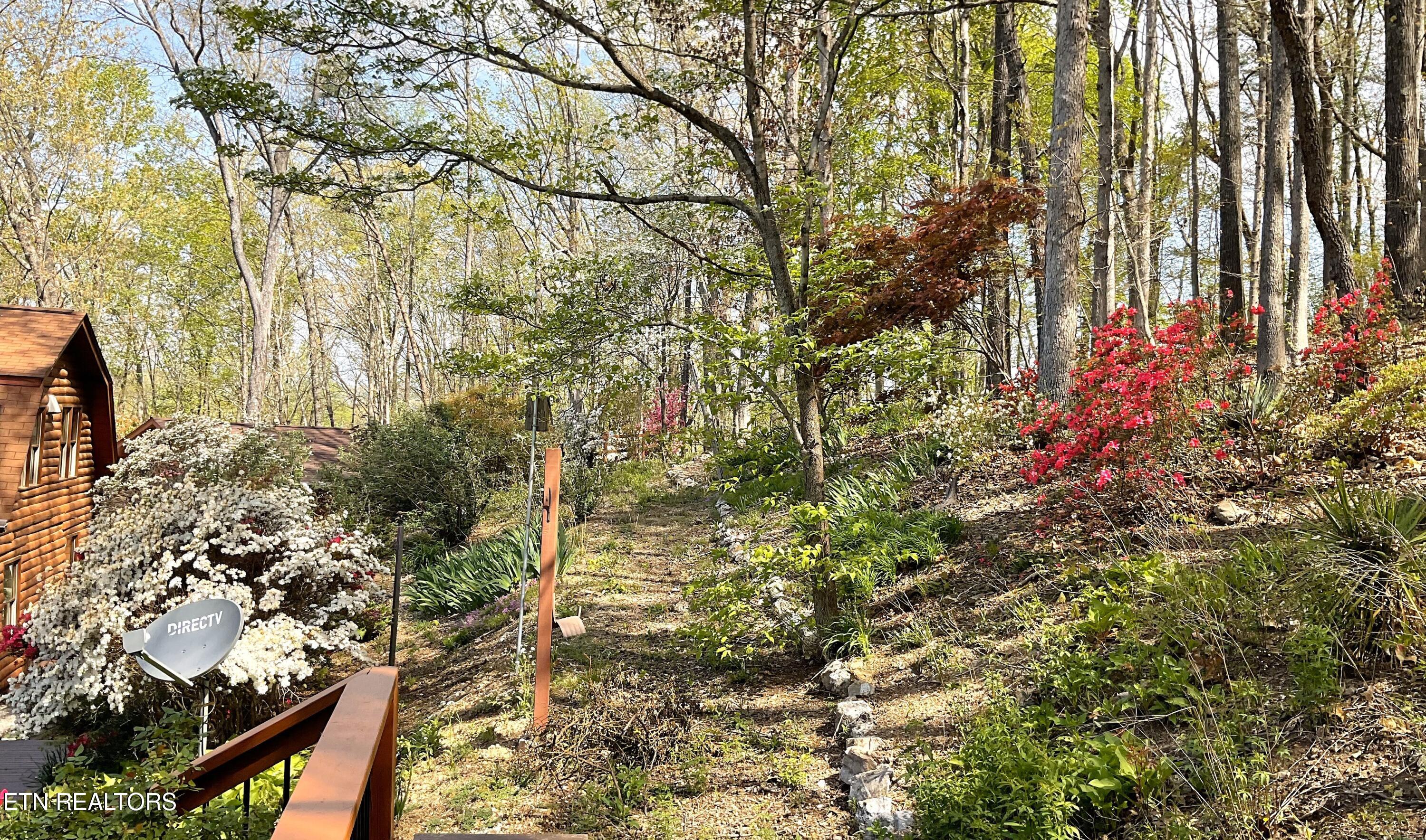 105 Wildwood Trail Andersonville TN 37705
