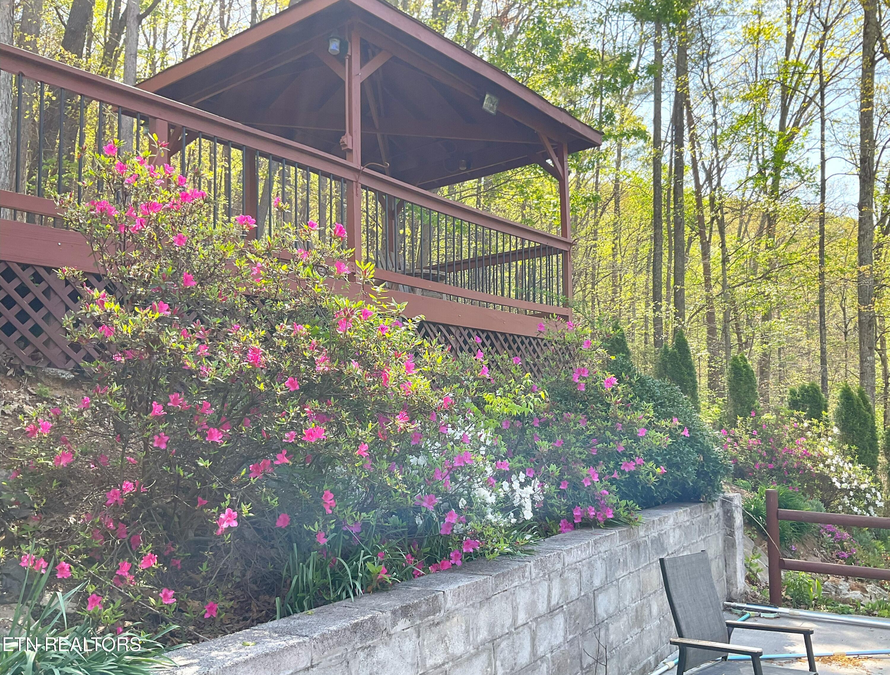 105 Wildwood Trail Andersonville TN 37705