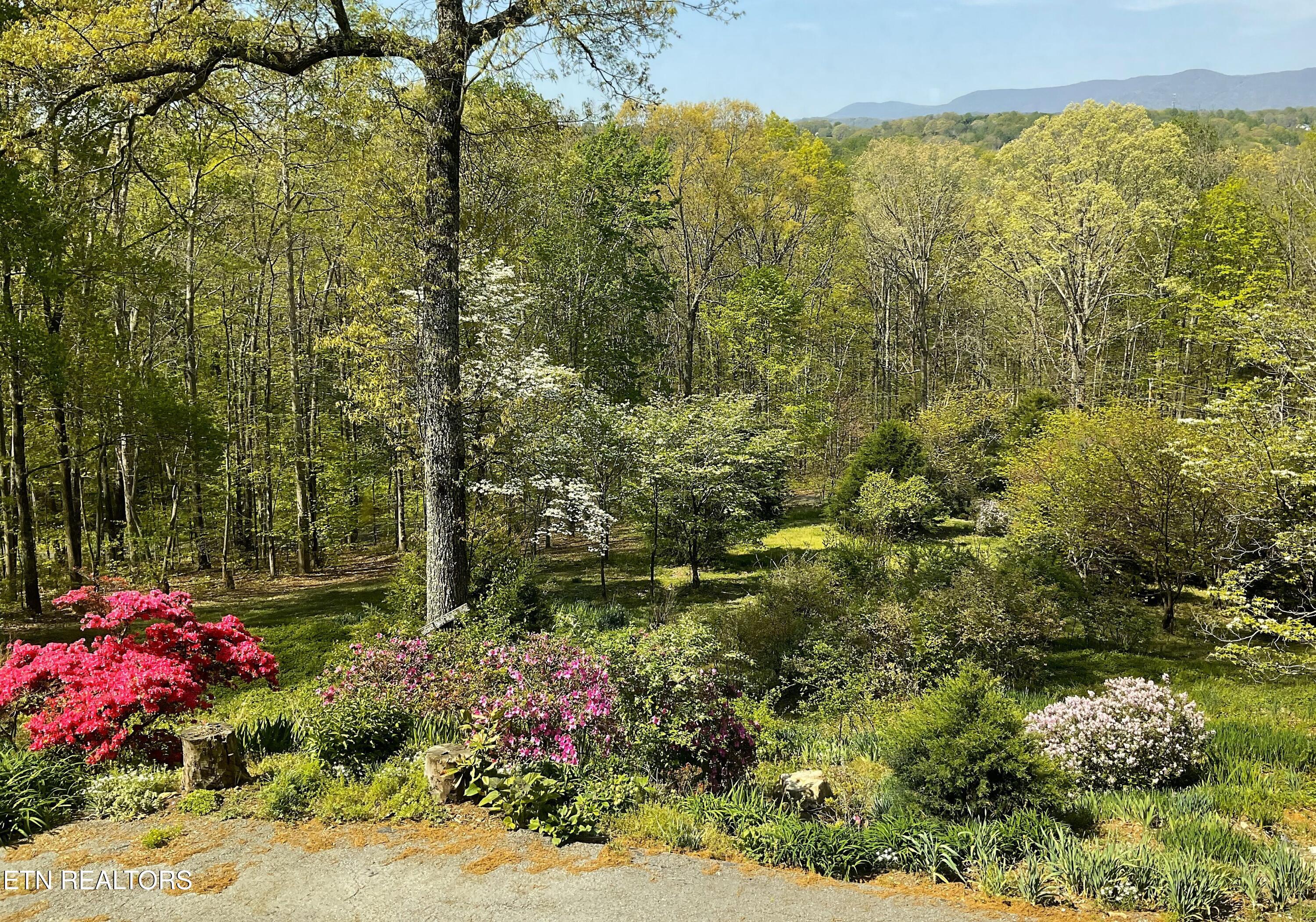 105 Wildwood Trail Andersonville TN 37705