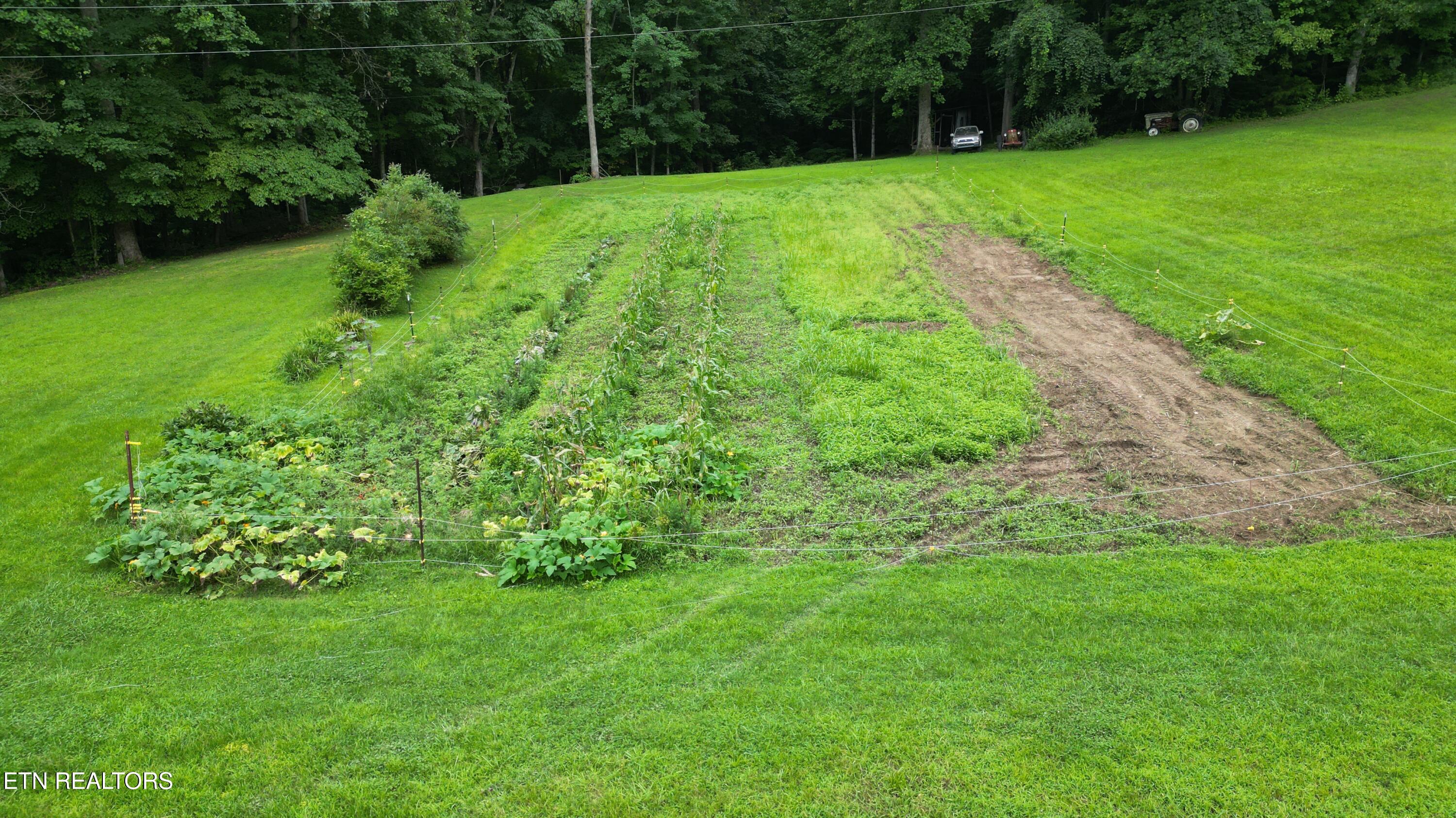 291 Evans Ridge Road Speedwell TN 37870