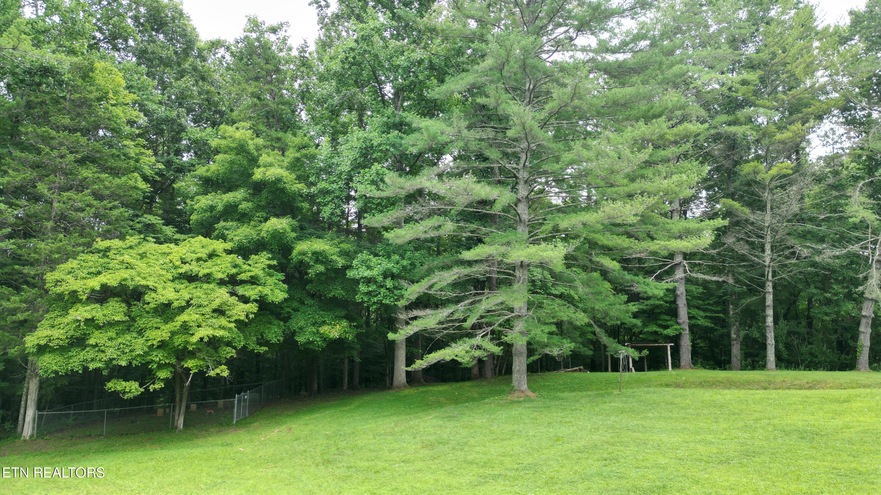291 Evans Ridge Road Speedwell TN 37870