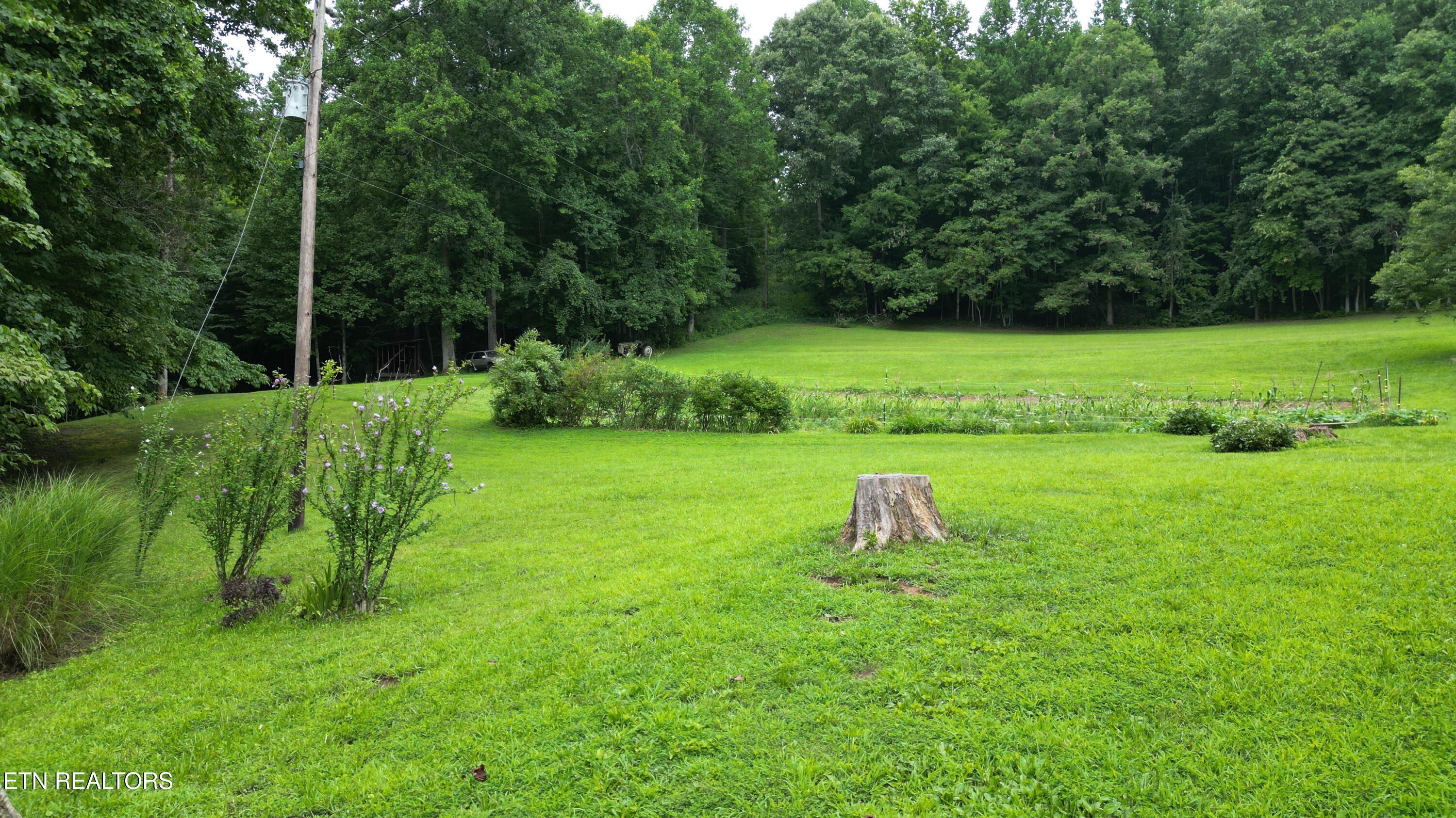 291 Evans Ridge Road Speedwell TN 37870