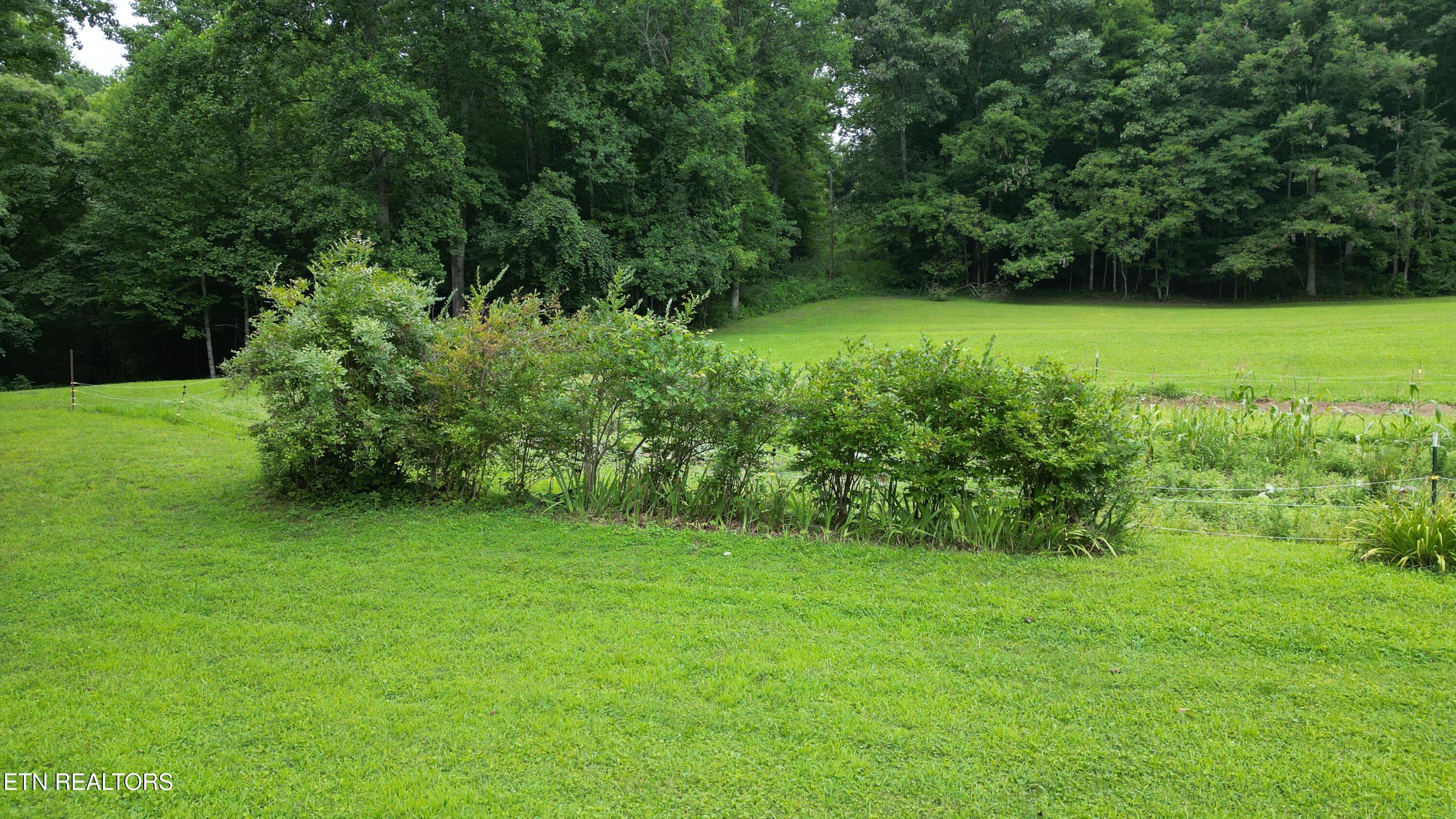 291 Evans Ridge Road Speedwell TN 37870