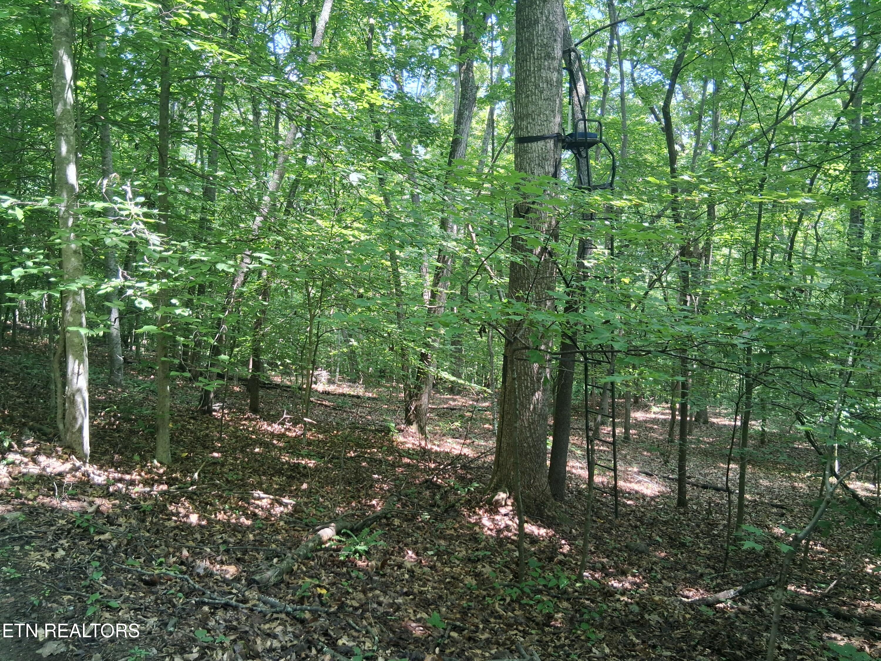 291 Evans Ridge Road Speedwell TN 37870