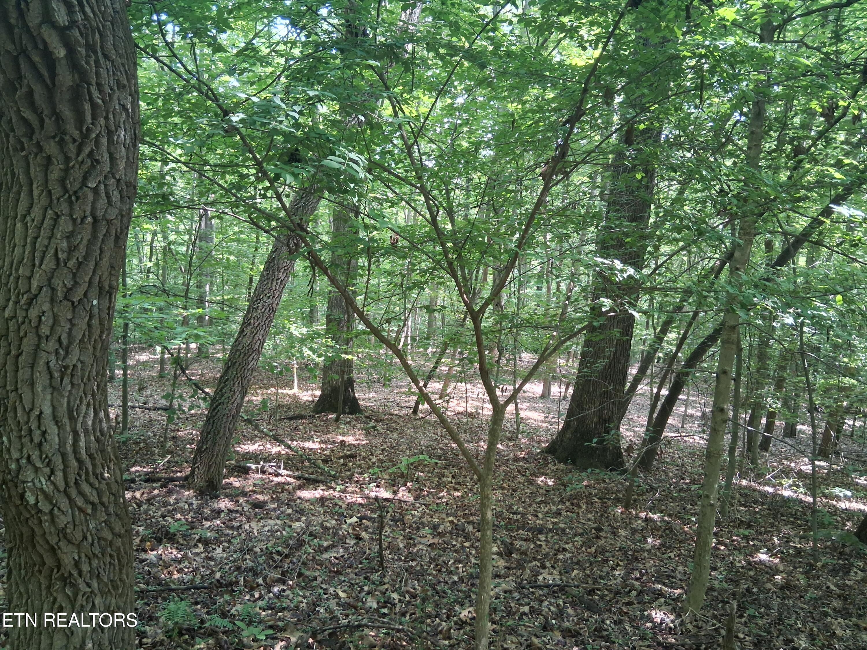 291 Evans Ridge Road Speedwell TN 37870