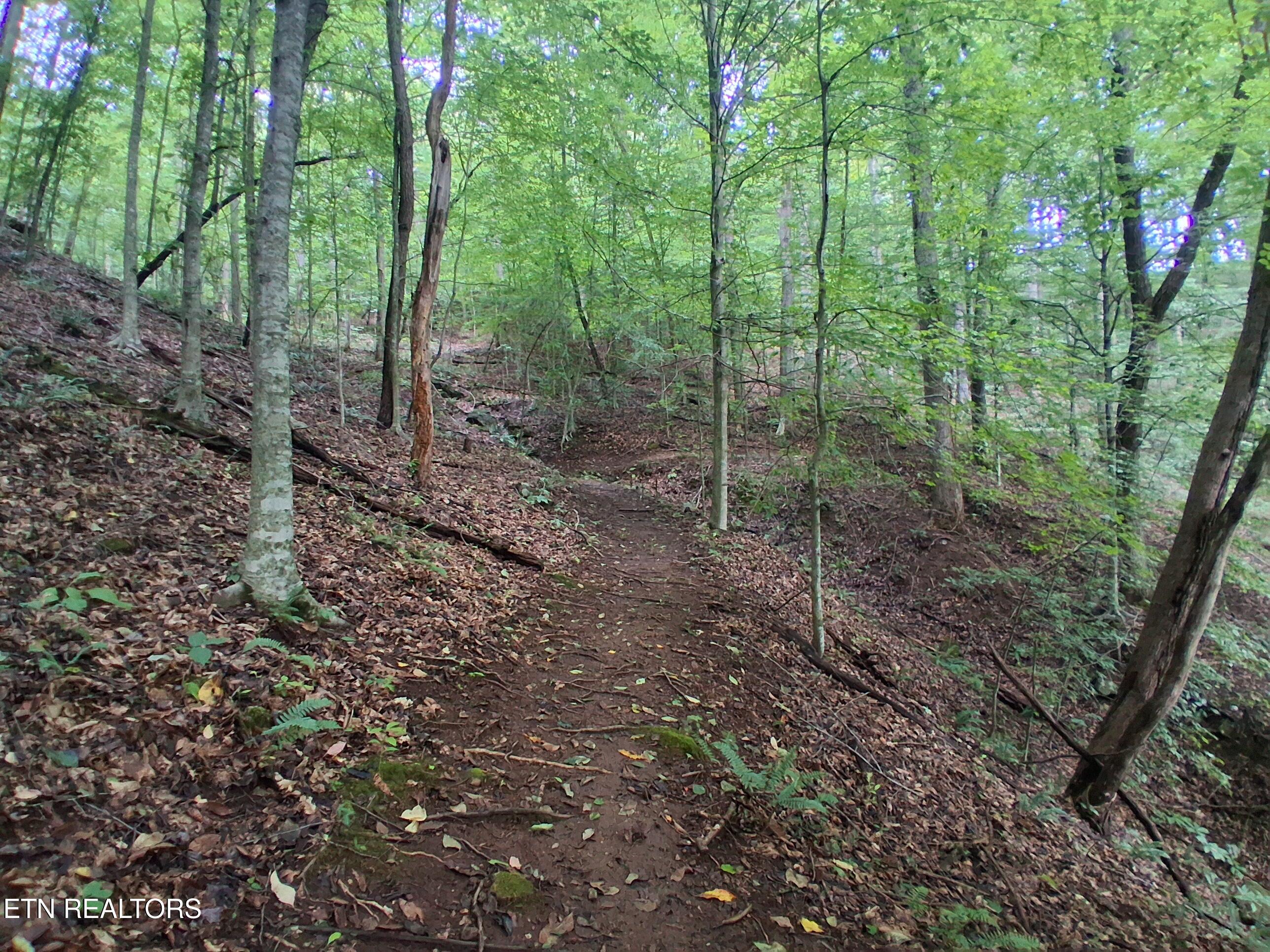 291 Evans Ridge Road Speedwell TN 37870