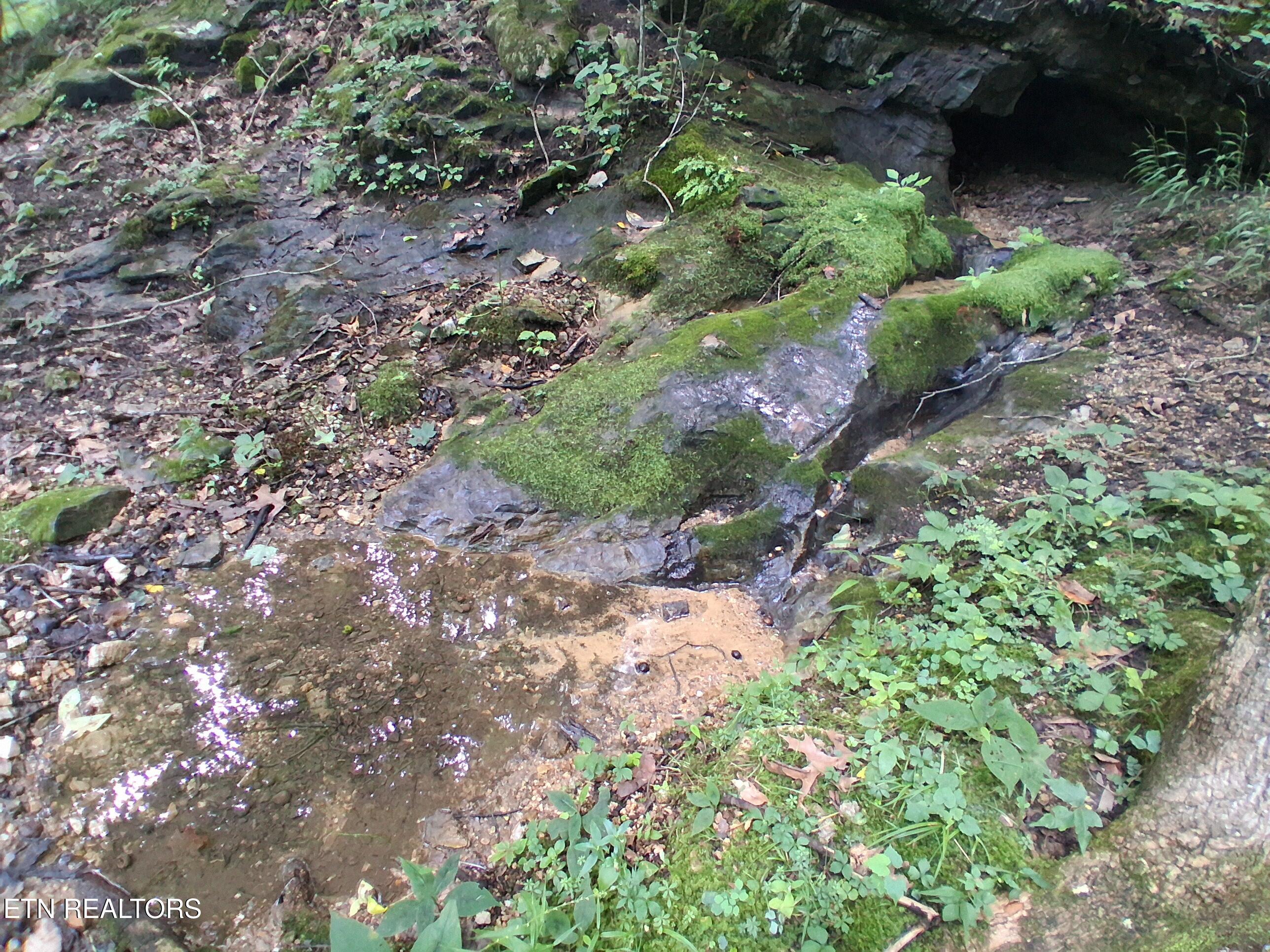 291 Evans Ridge Road Speedwell TN 37870