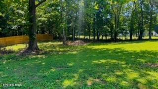 2315 Pine Grove Road Winfield TN 37892