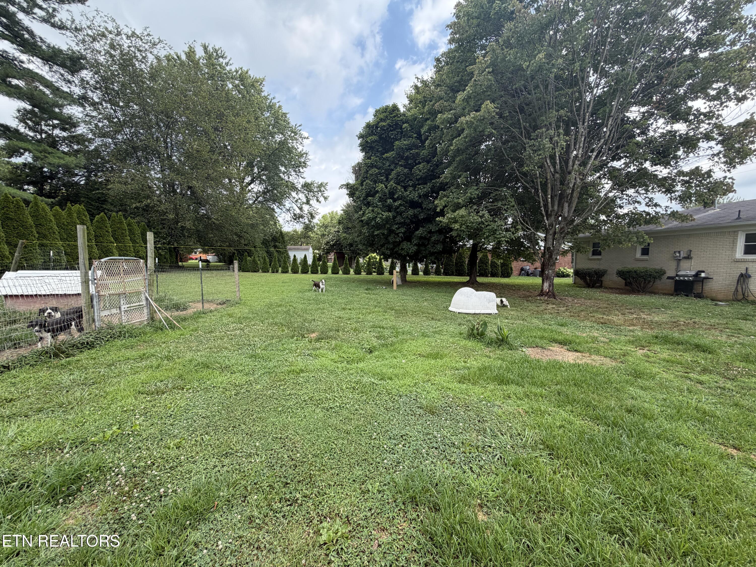 835 Anthony Avenue Smithville TN 37166