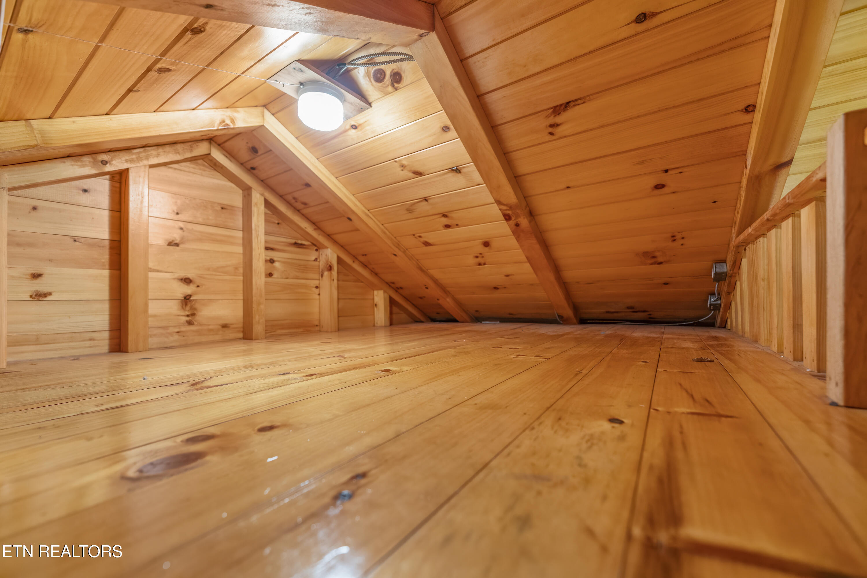 1827 Old Chilhowee Loop Seymour TN 37865