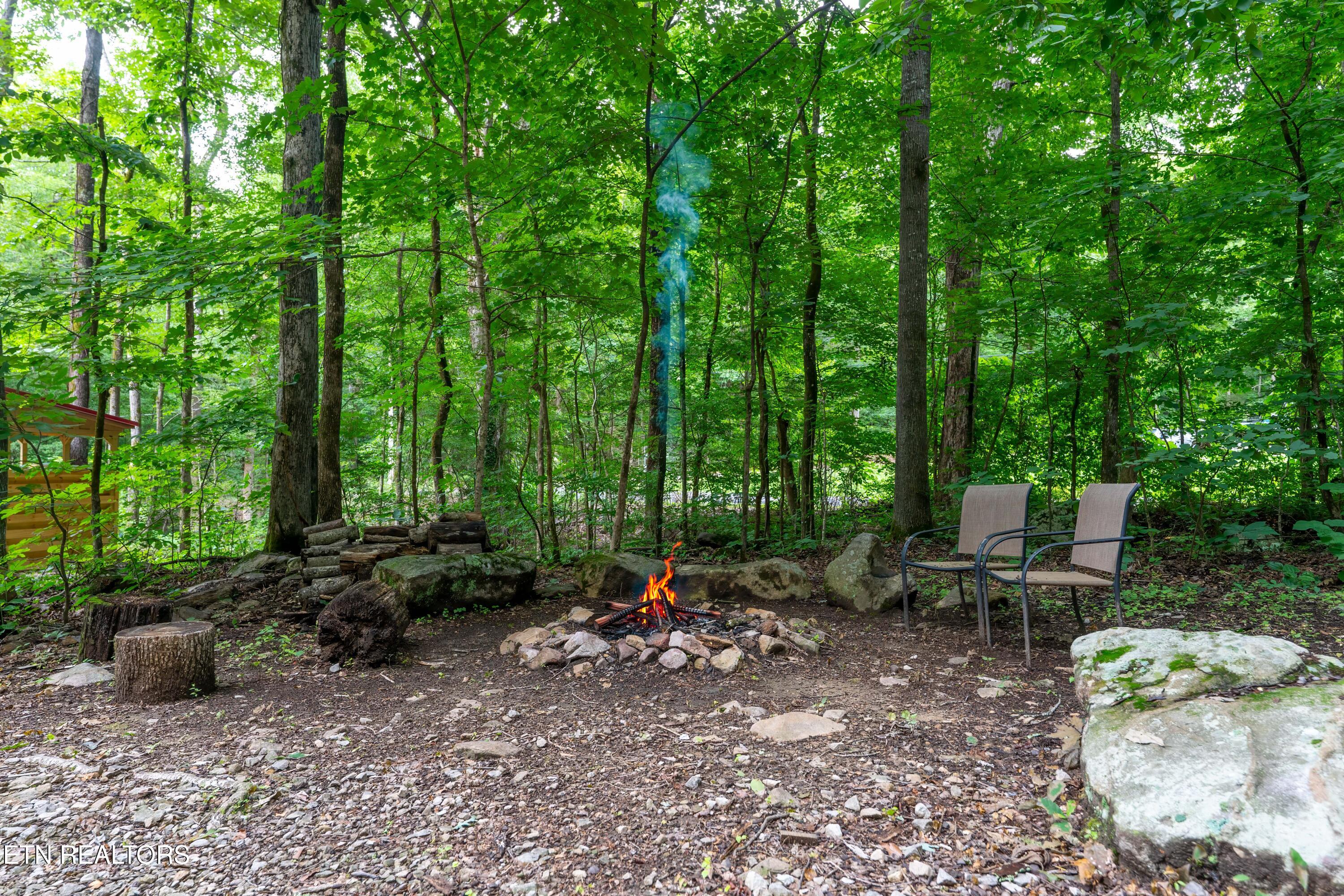 1827 Old Chilhowee Loop Seymour TN 37865