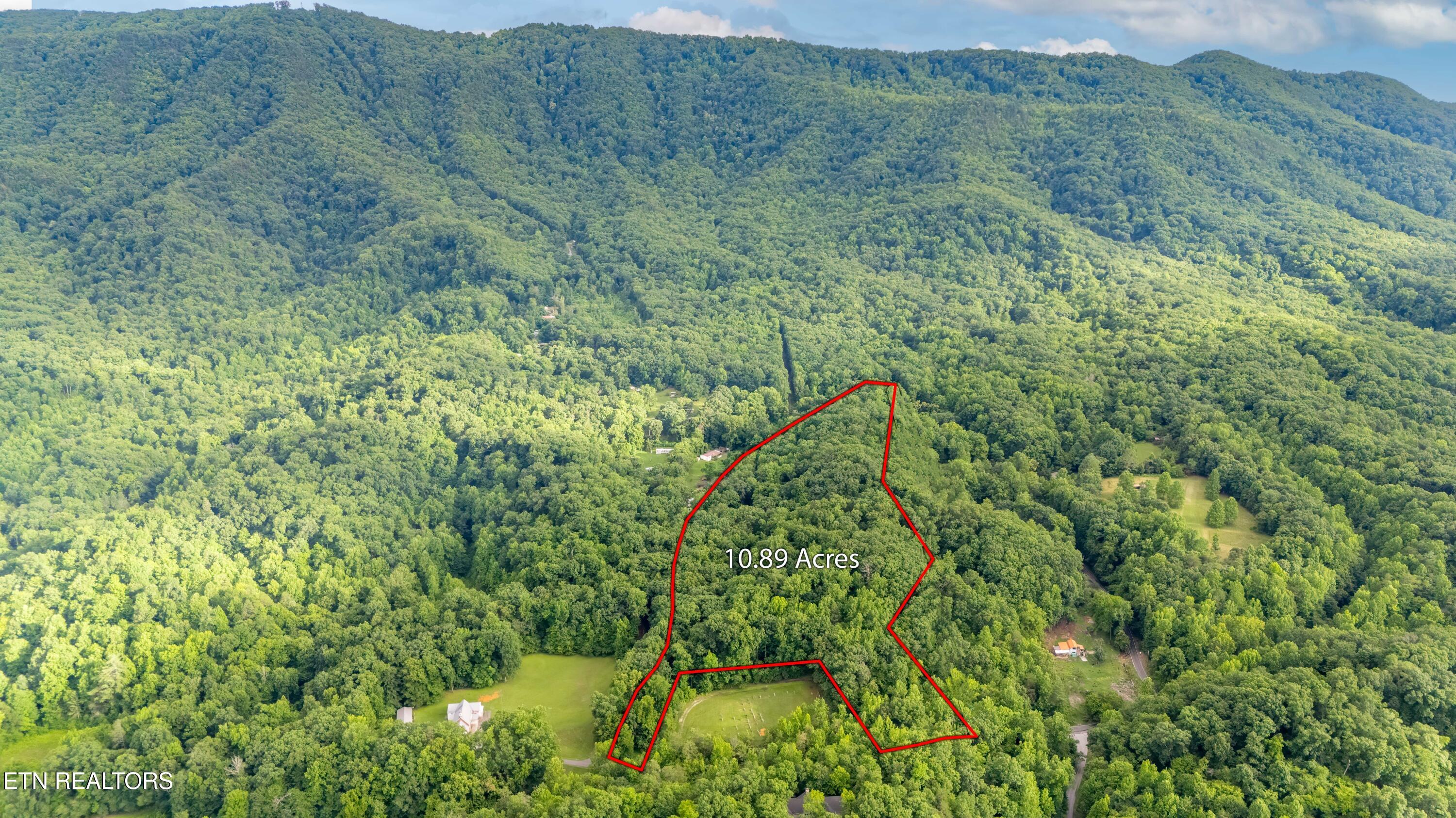 1827 Old Chilhowee Loop Seymour TN 37865