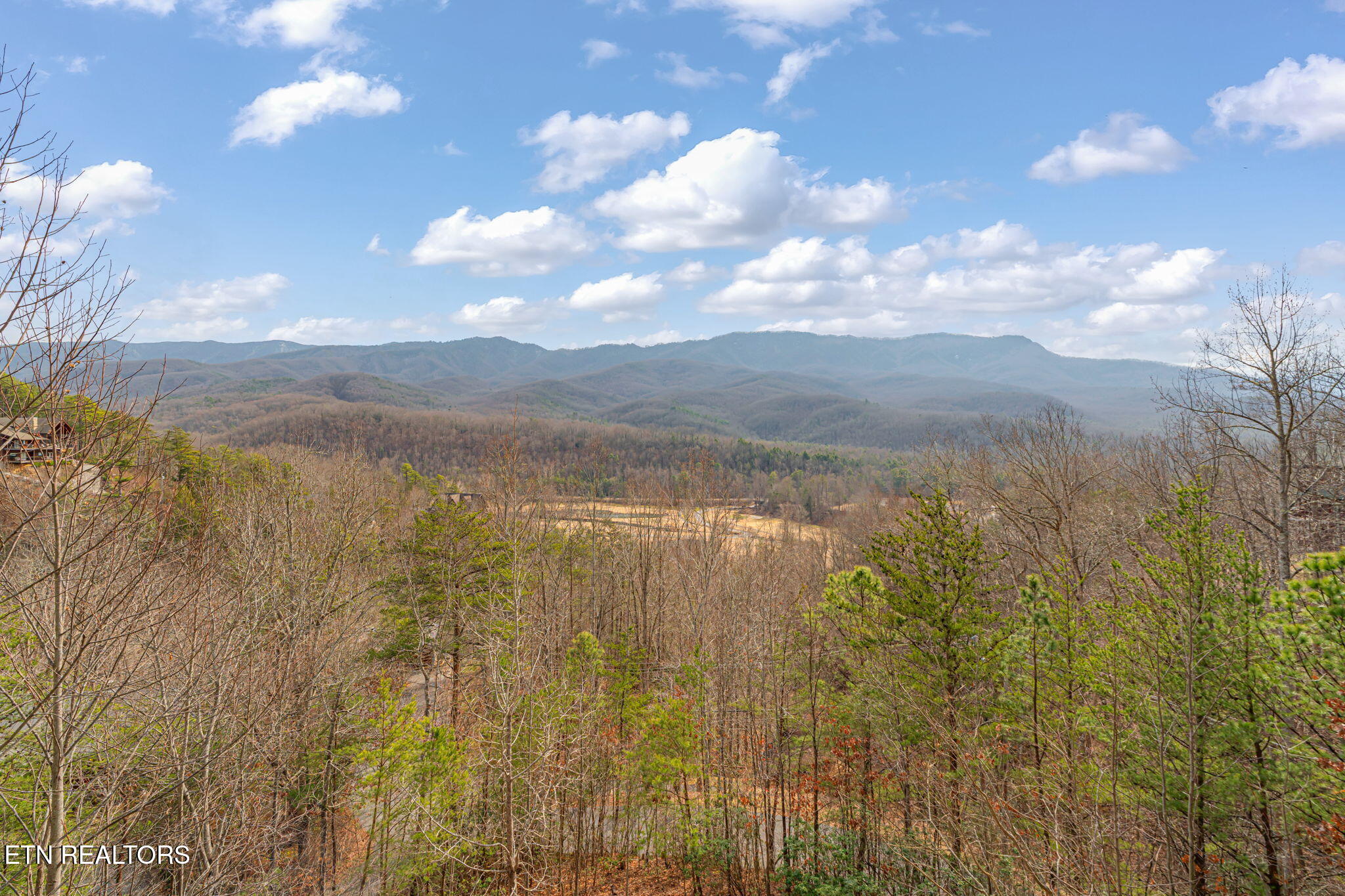 206 Rodeo Drive Gatlinburg TN 37738