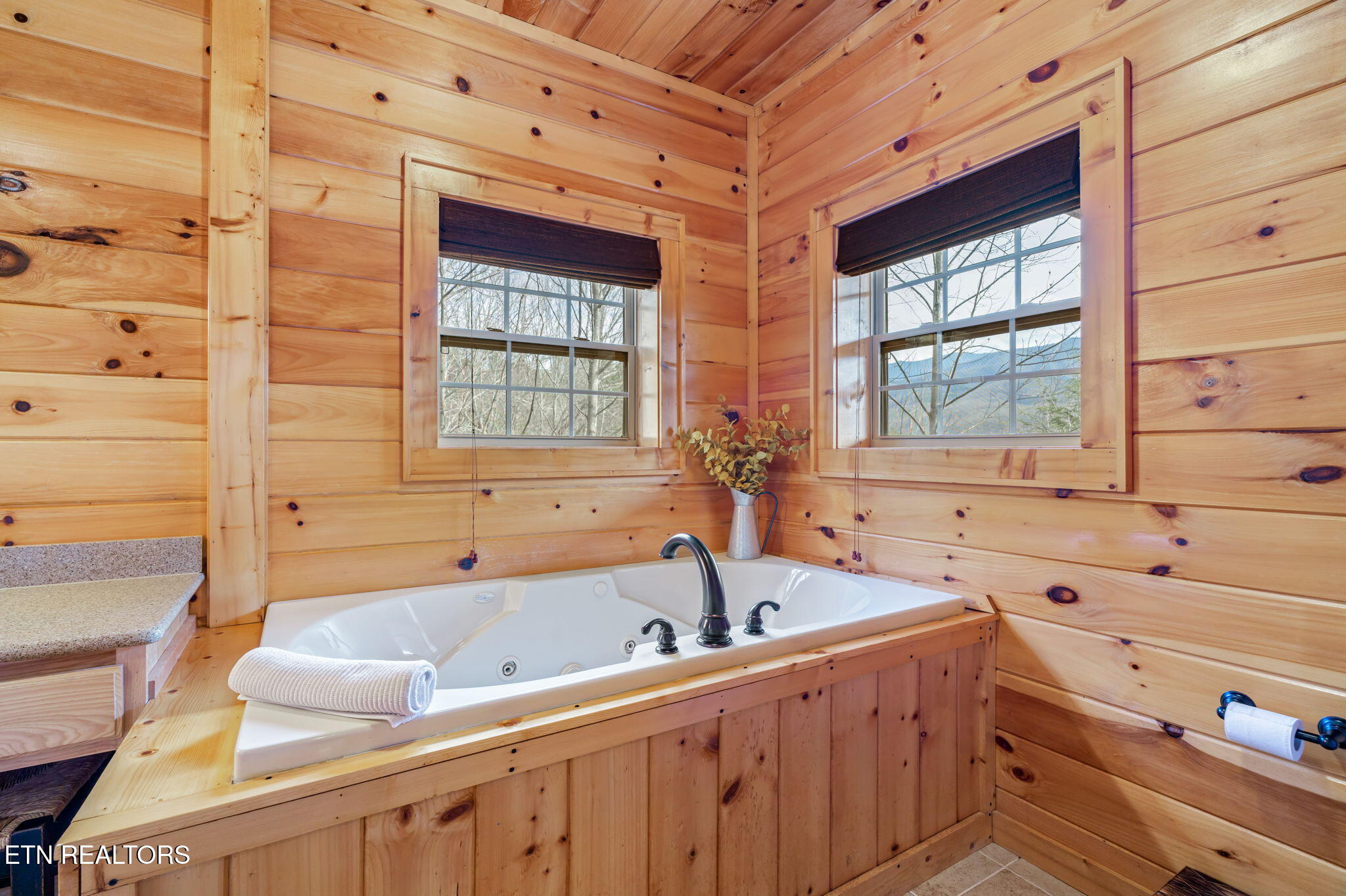 206 Rodeo Drive Gatlinburg TN 37738