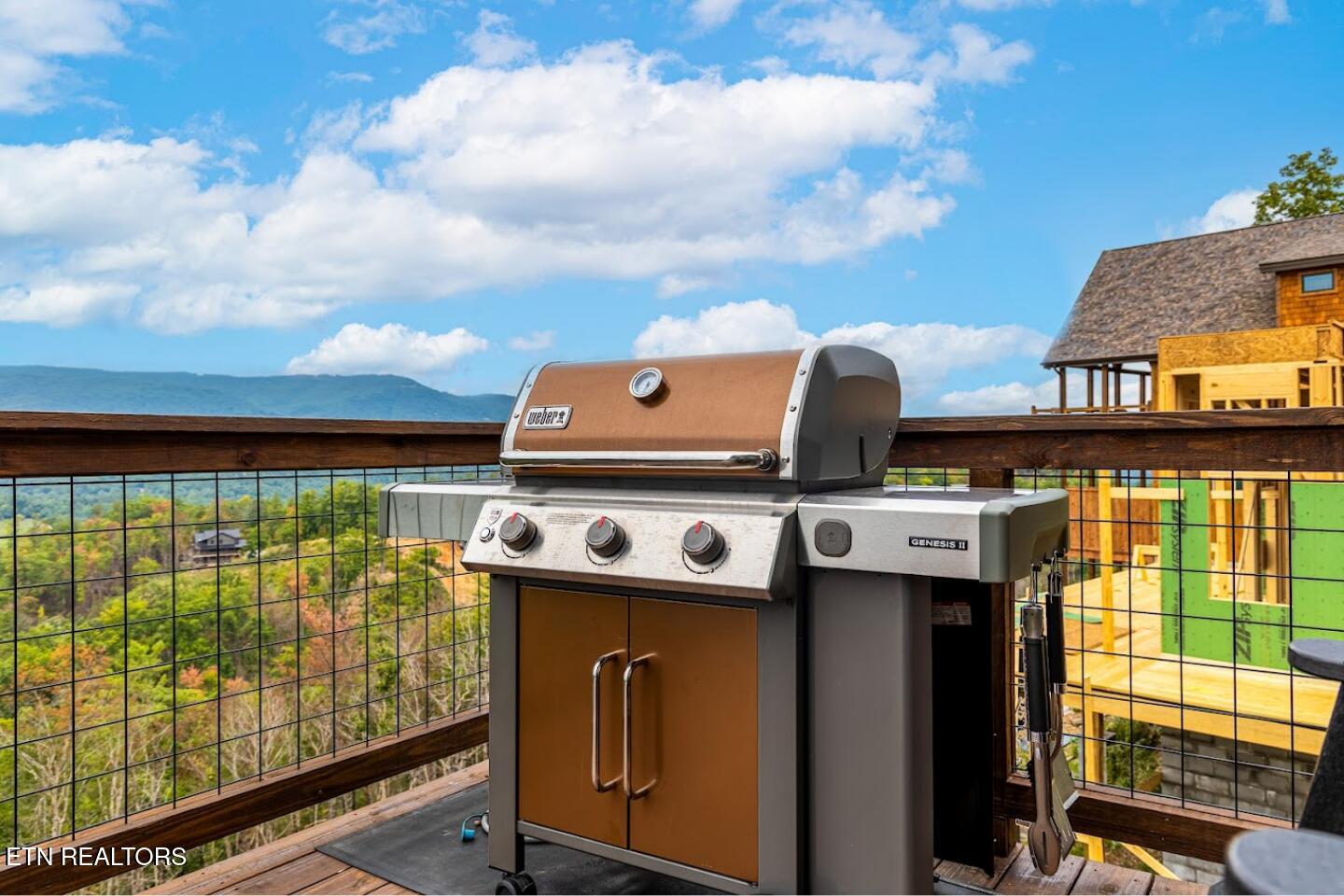 2520 Mountain Holly Way Sevierville TN 37862