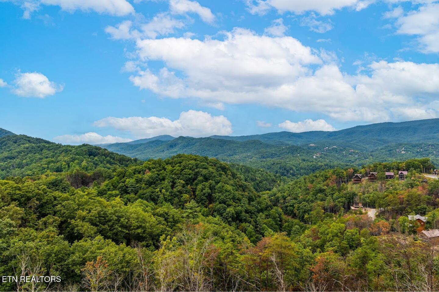 2520 Mountain Holly Way Sevierville TN 37862