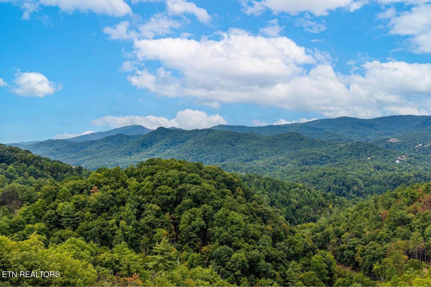 2520 Mountain Holly Way Sevierville TN 37862