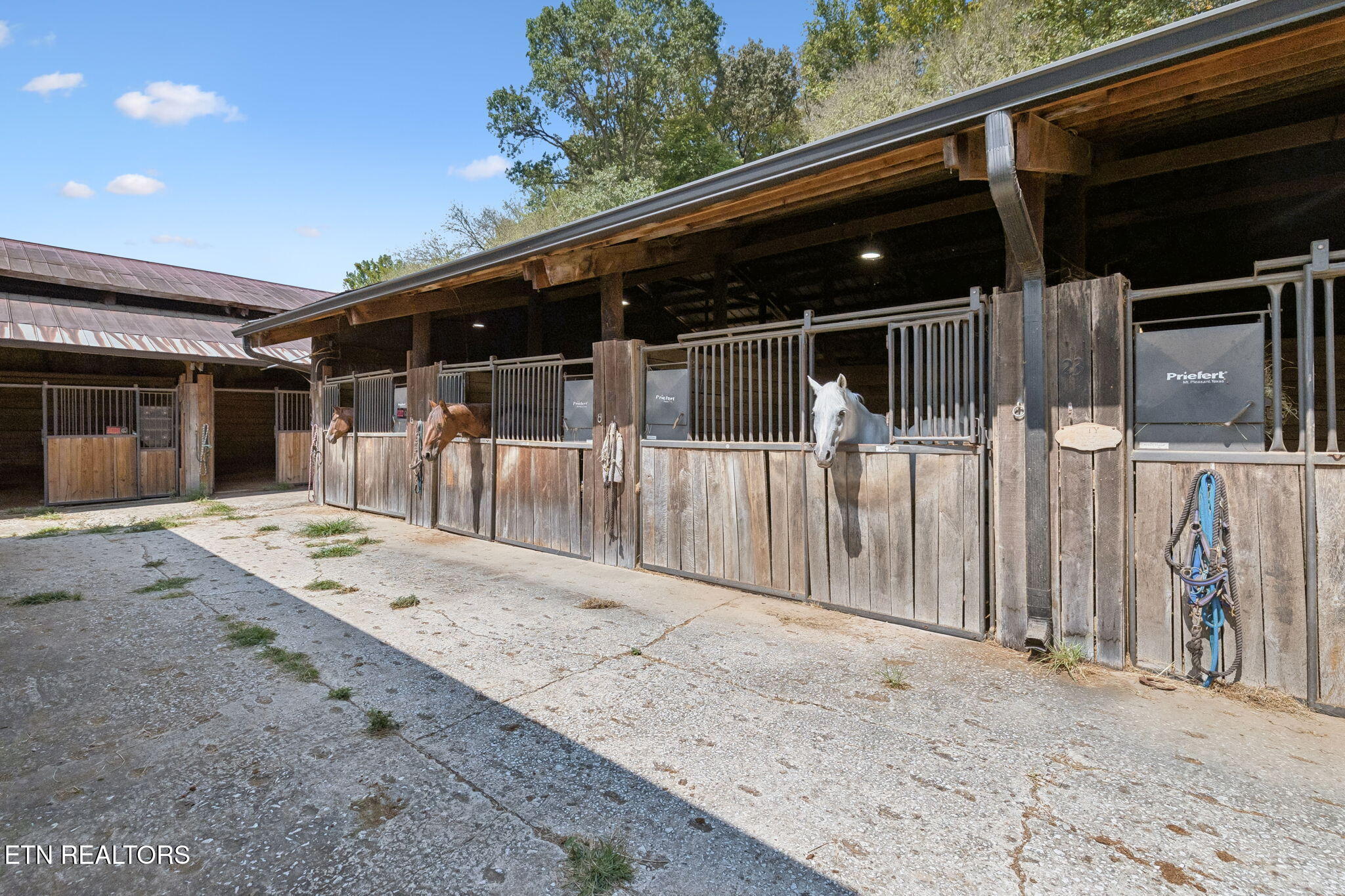 315 Miller Hollow Lane Rocky Top TN 37769