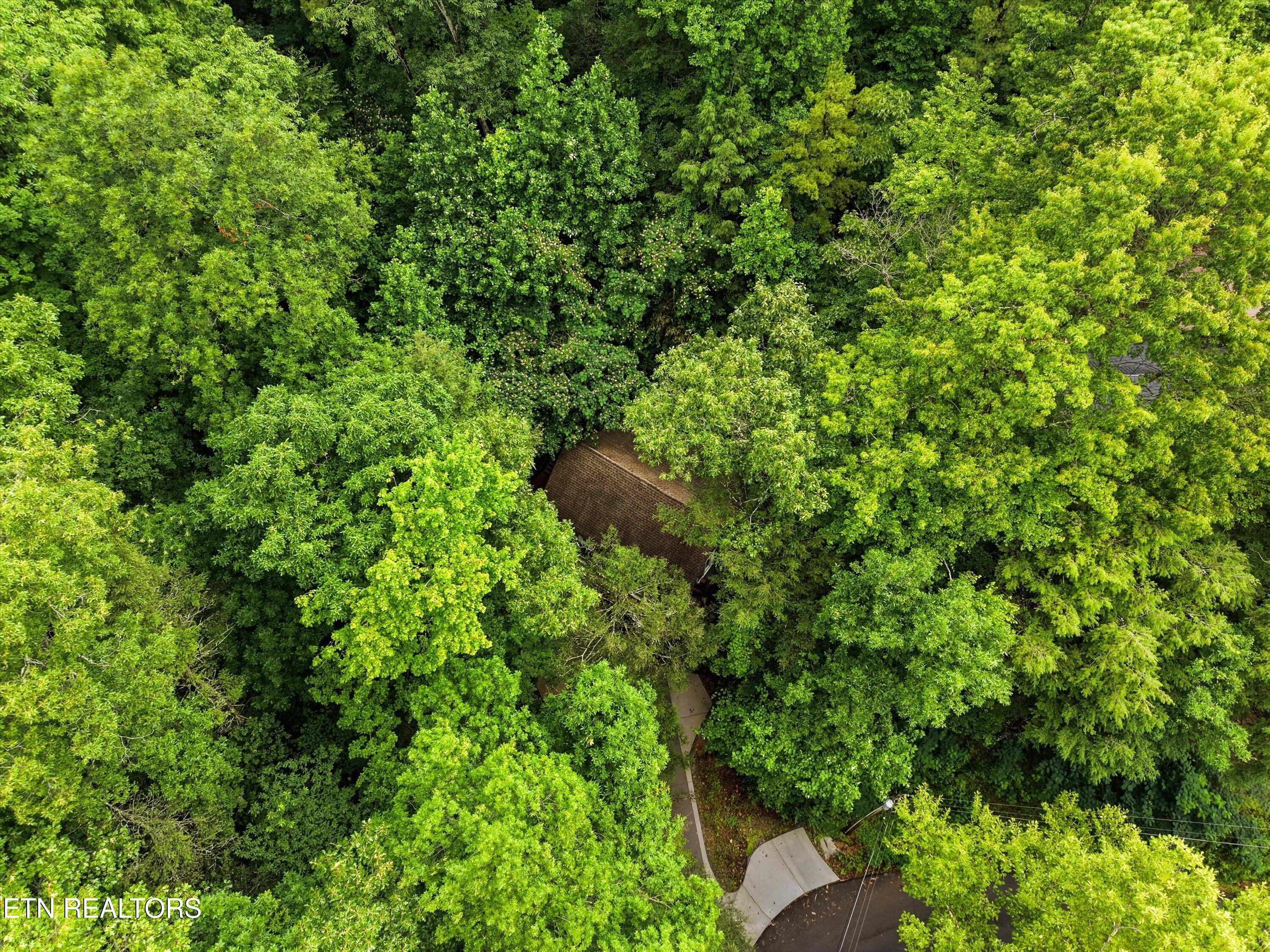 345 Gatlin Drive Gatlinburg TN 37738