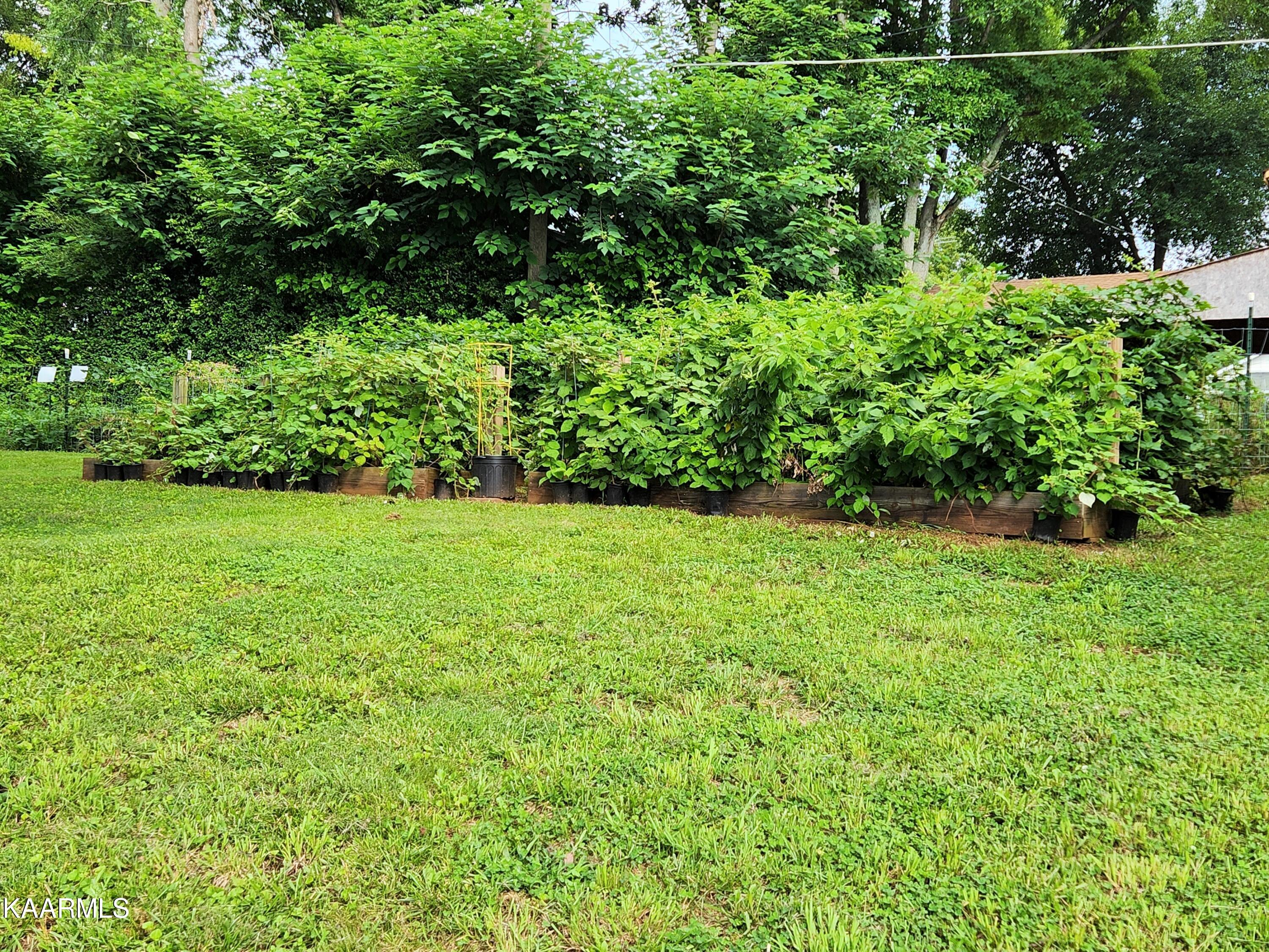 714 Steekee Street Loudon TN 37774