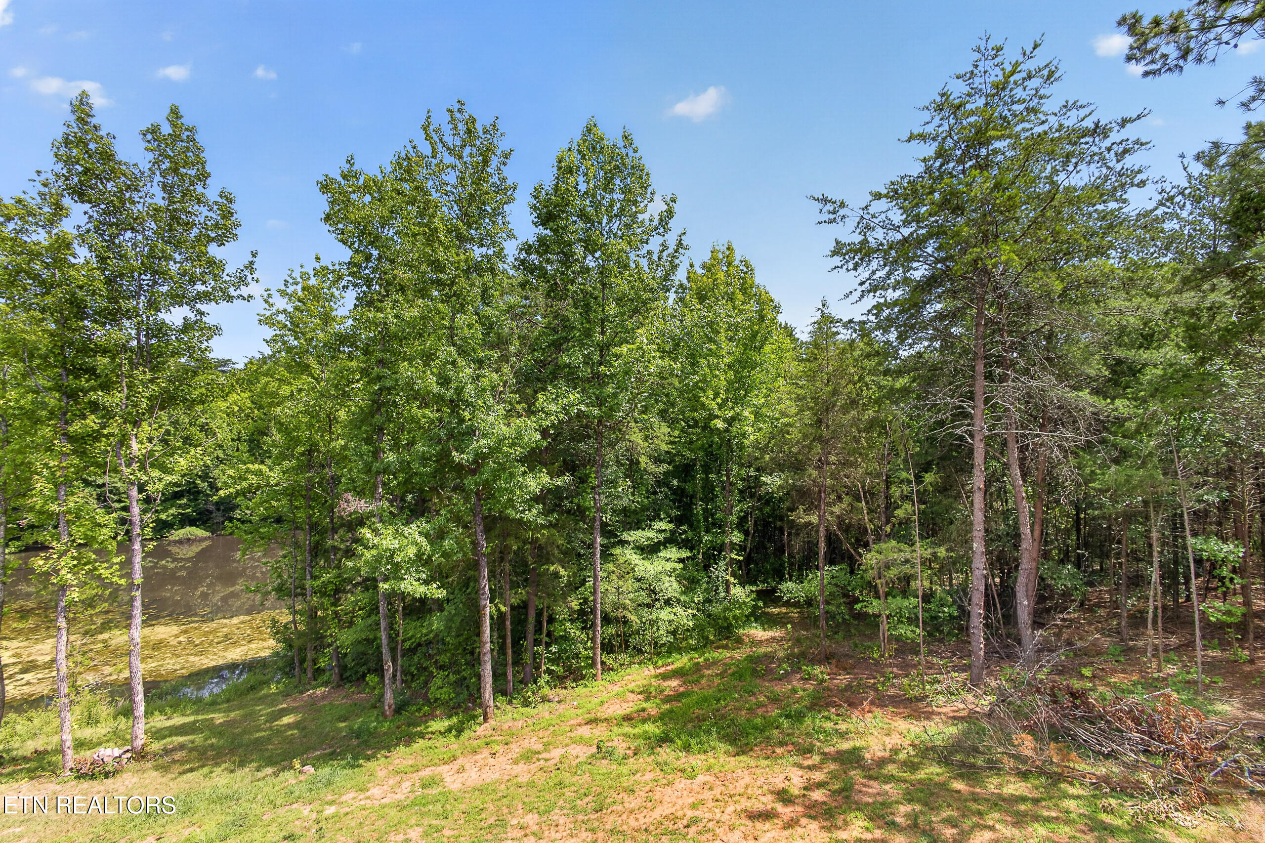 930 Loblolly Lane Maryville TN 37801