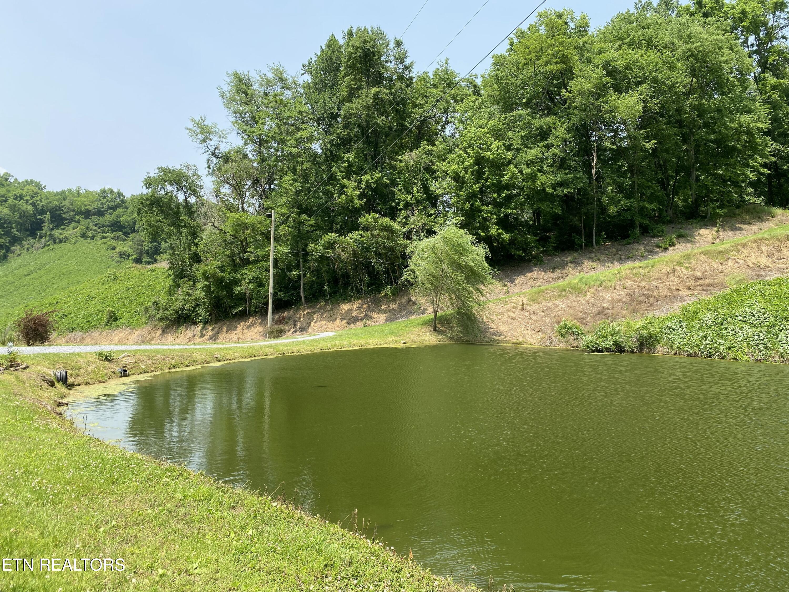 2278 Lower Rinehart Road Dandridge TN 37725