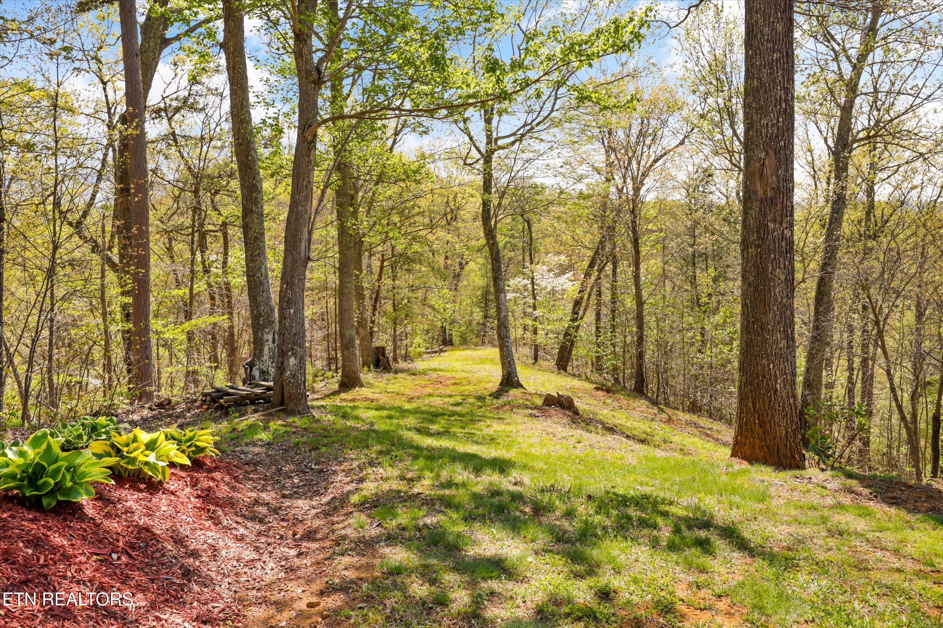 2278 Lower Rinehart Road Dandridge TN 37725