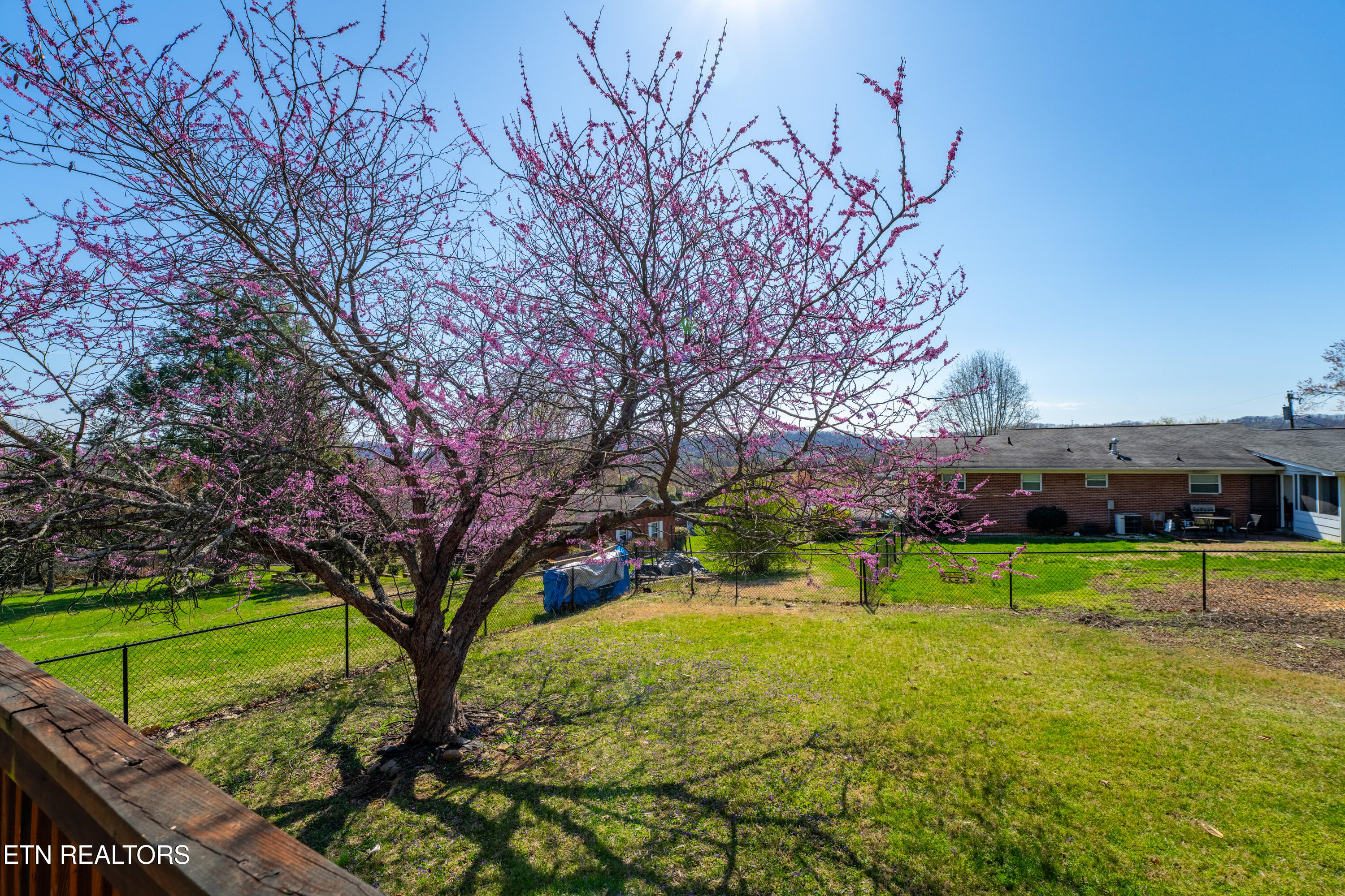 3904 Janice Drive Knoxville TN 37938