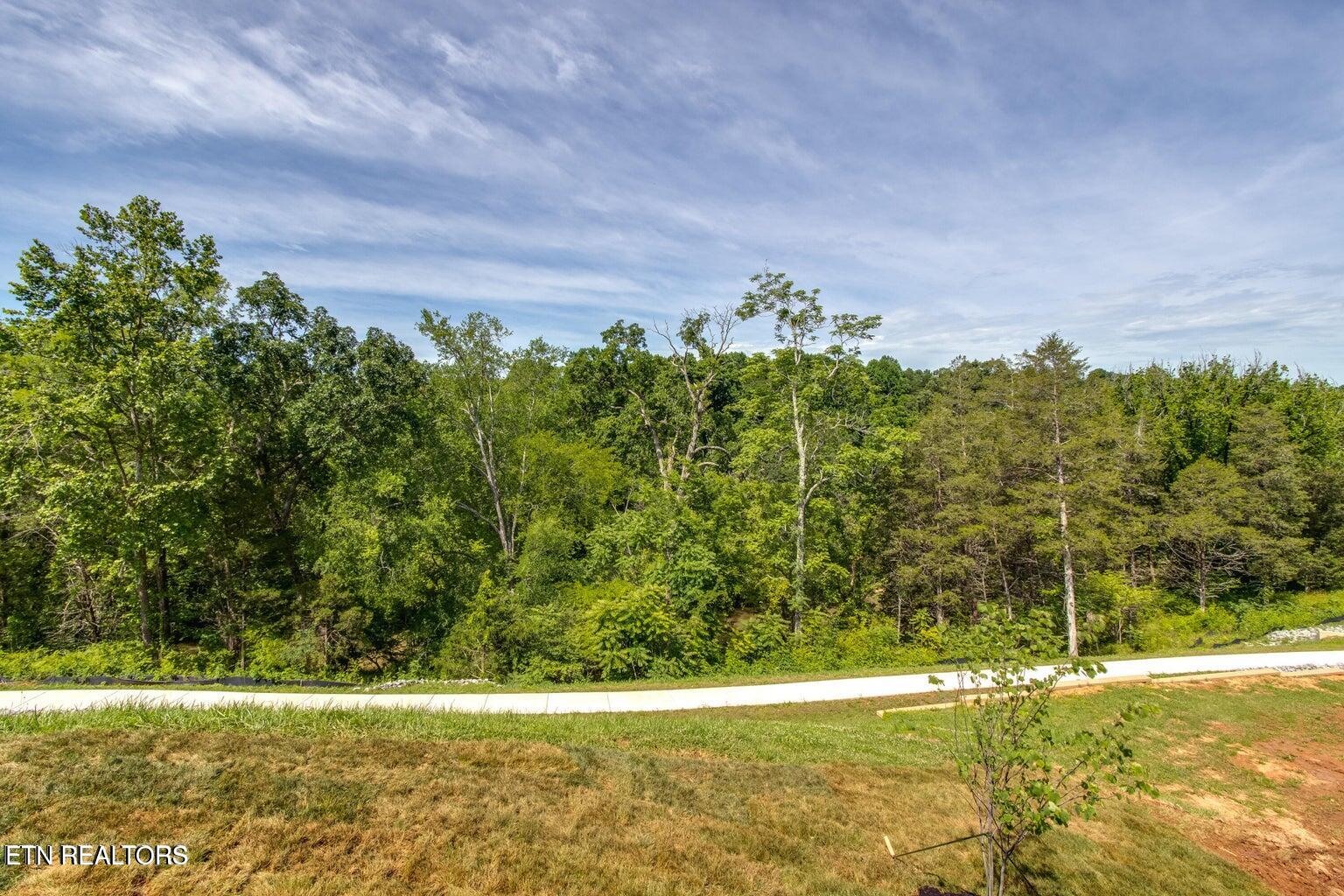 3009 Sycamore Creek Lane Knoxville TN 37931