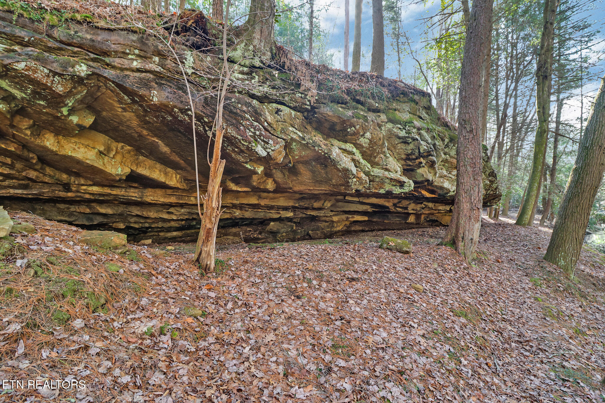 108 Grace Lane Crossville TN 38555