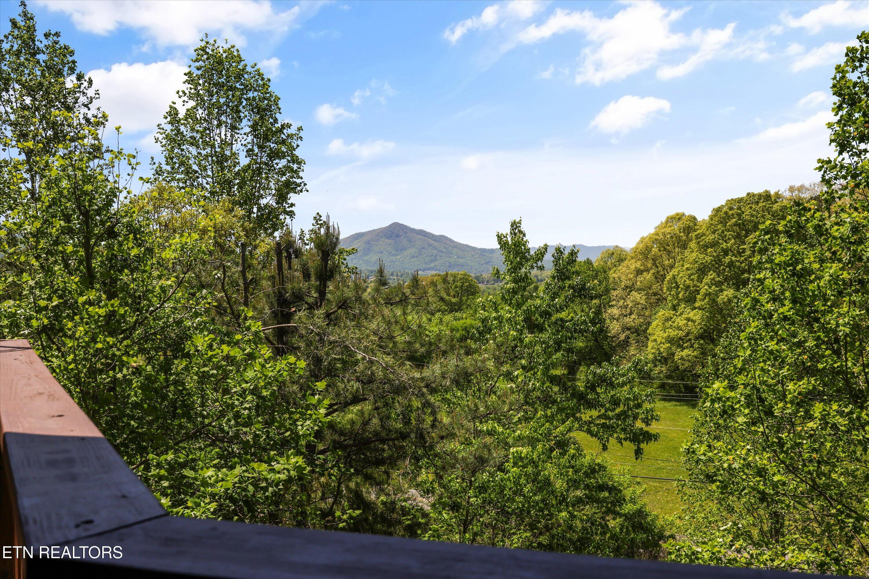1916 Buds Ridge Way Sevierville TN 37862