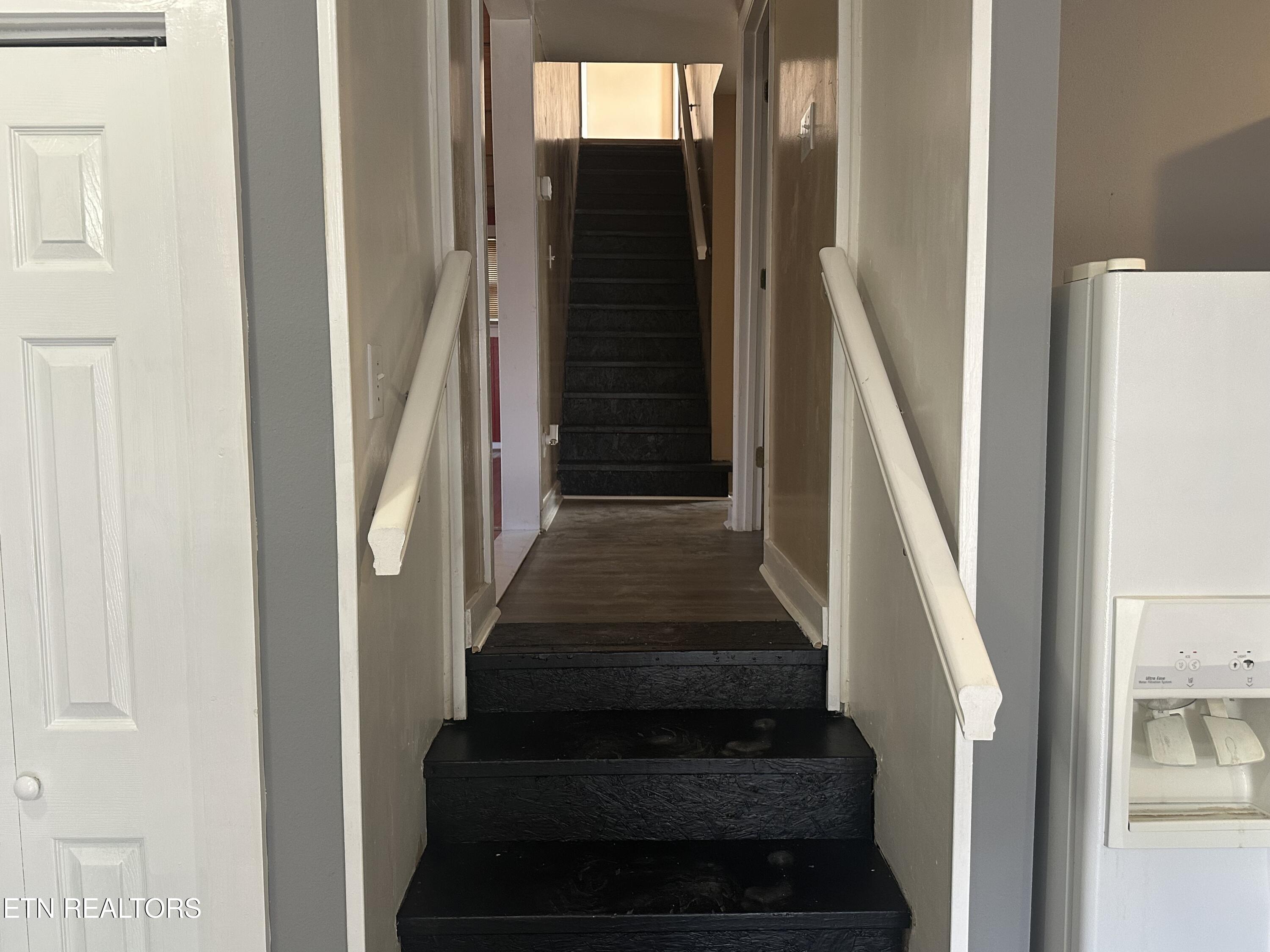 311 Willow Lane Rocky Top TN 37769