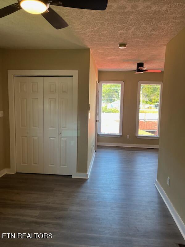 311 Willow Lane Rocky Top TN 37769