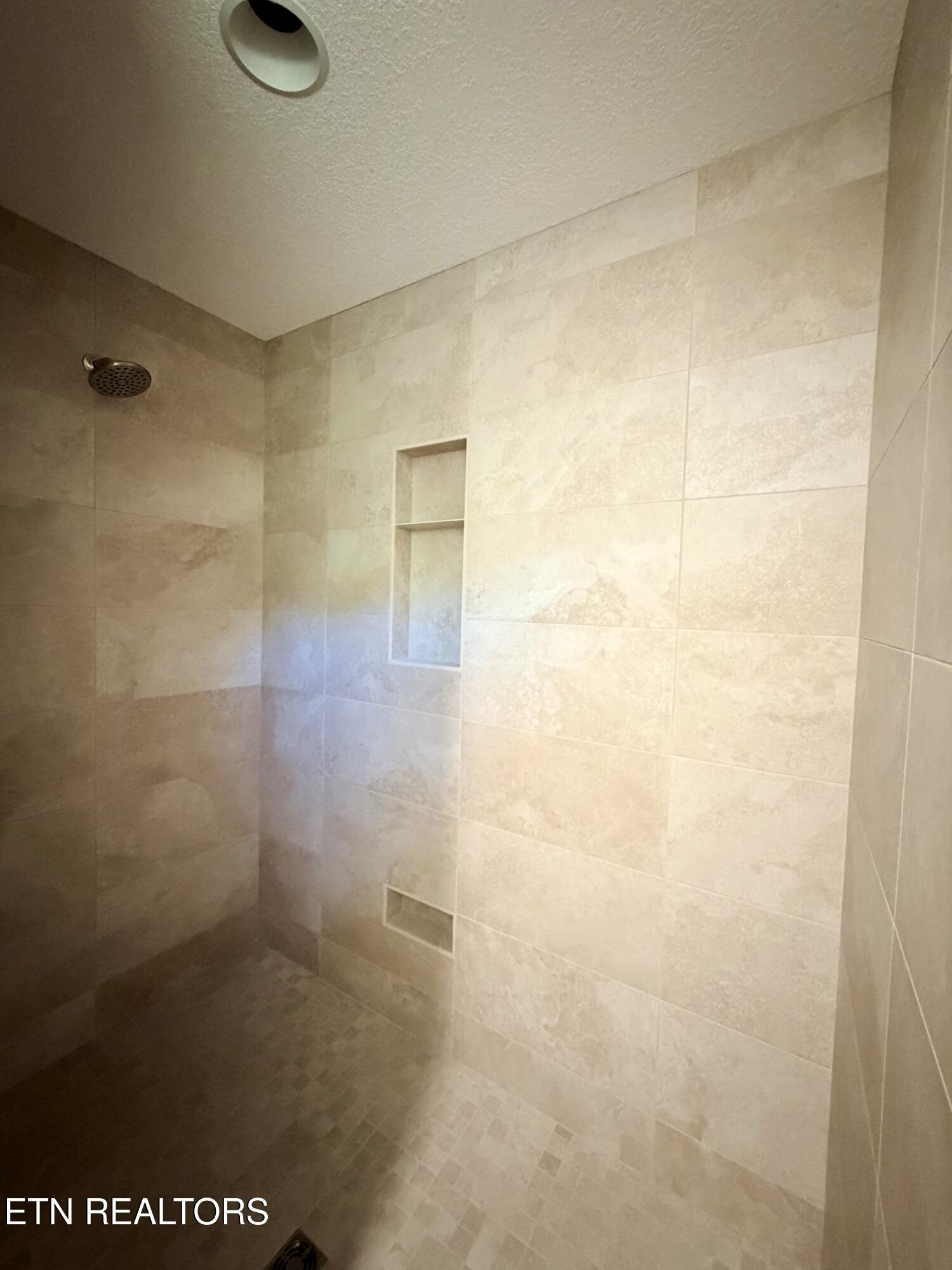 12604 Izzy Mule Lane Knoxville TN 37932