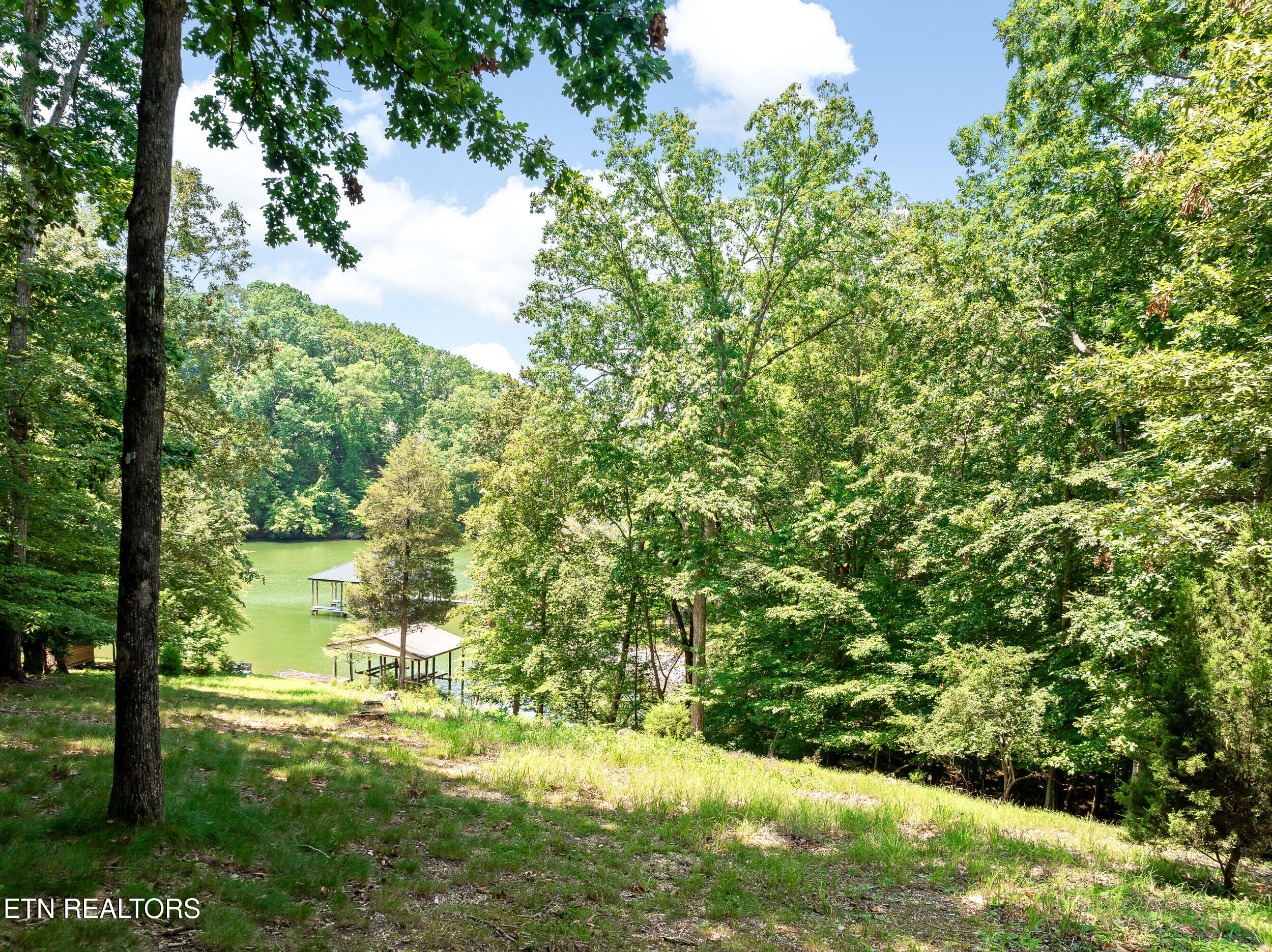 134 Holly Lane Kingston TN 37763