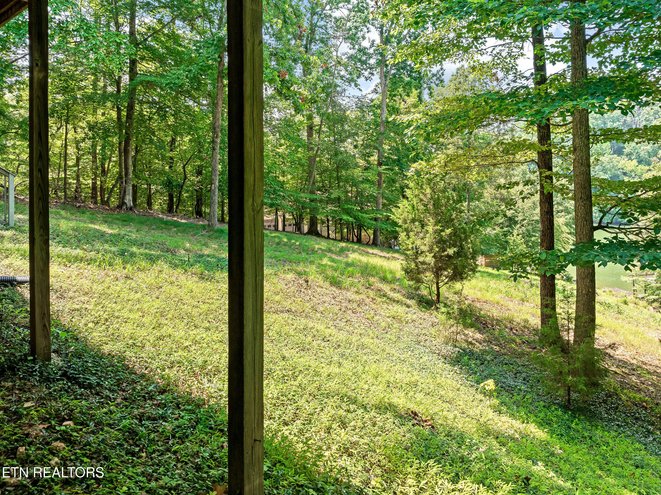 134 Holly Lane Kingston TN 37763