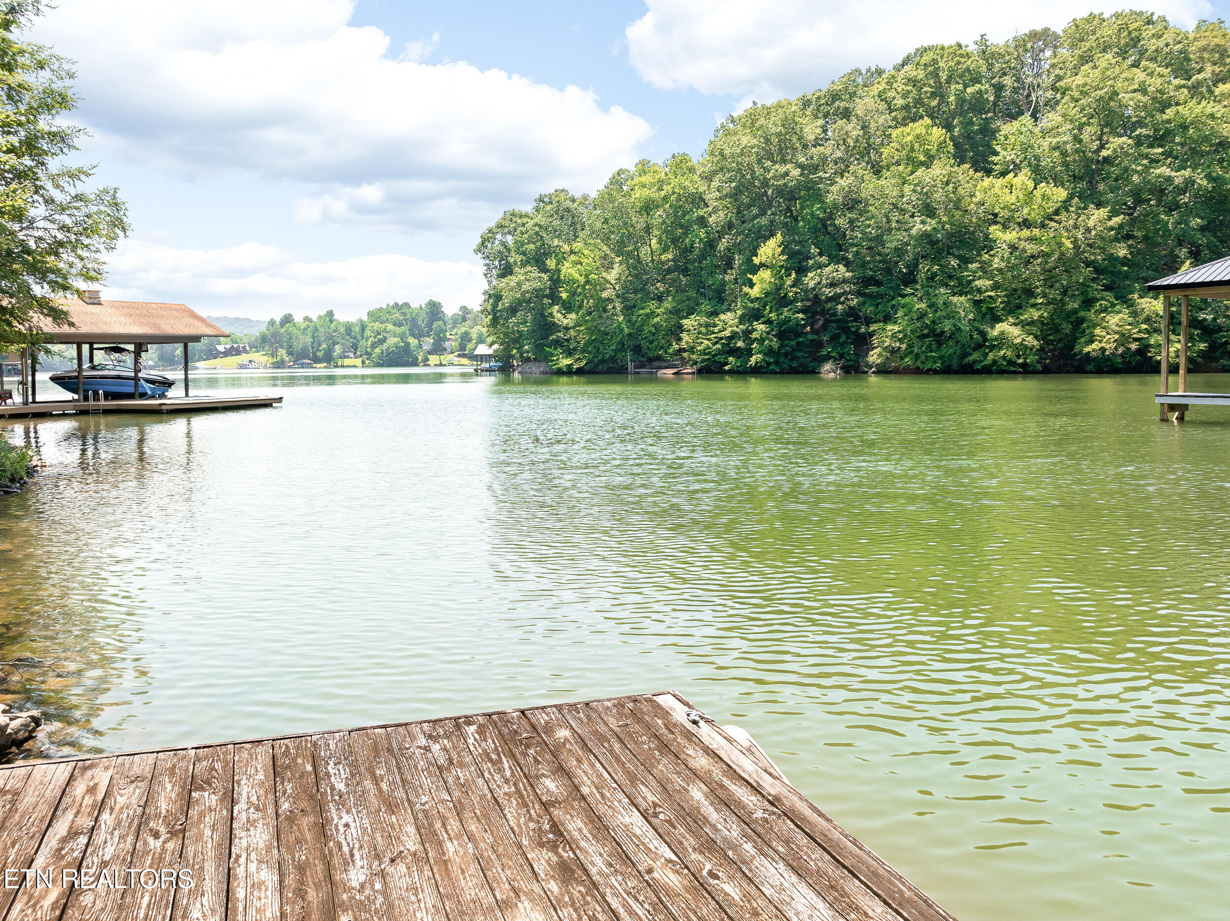 134 Holly Lane Kingston TN 37763