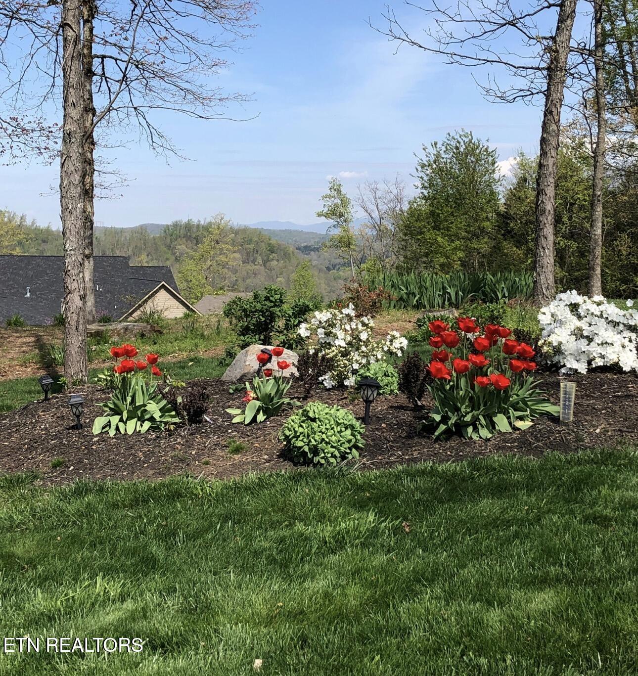 769 Oak Chase Boulevard Lenoir City TN 37772