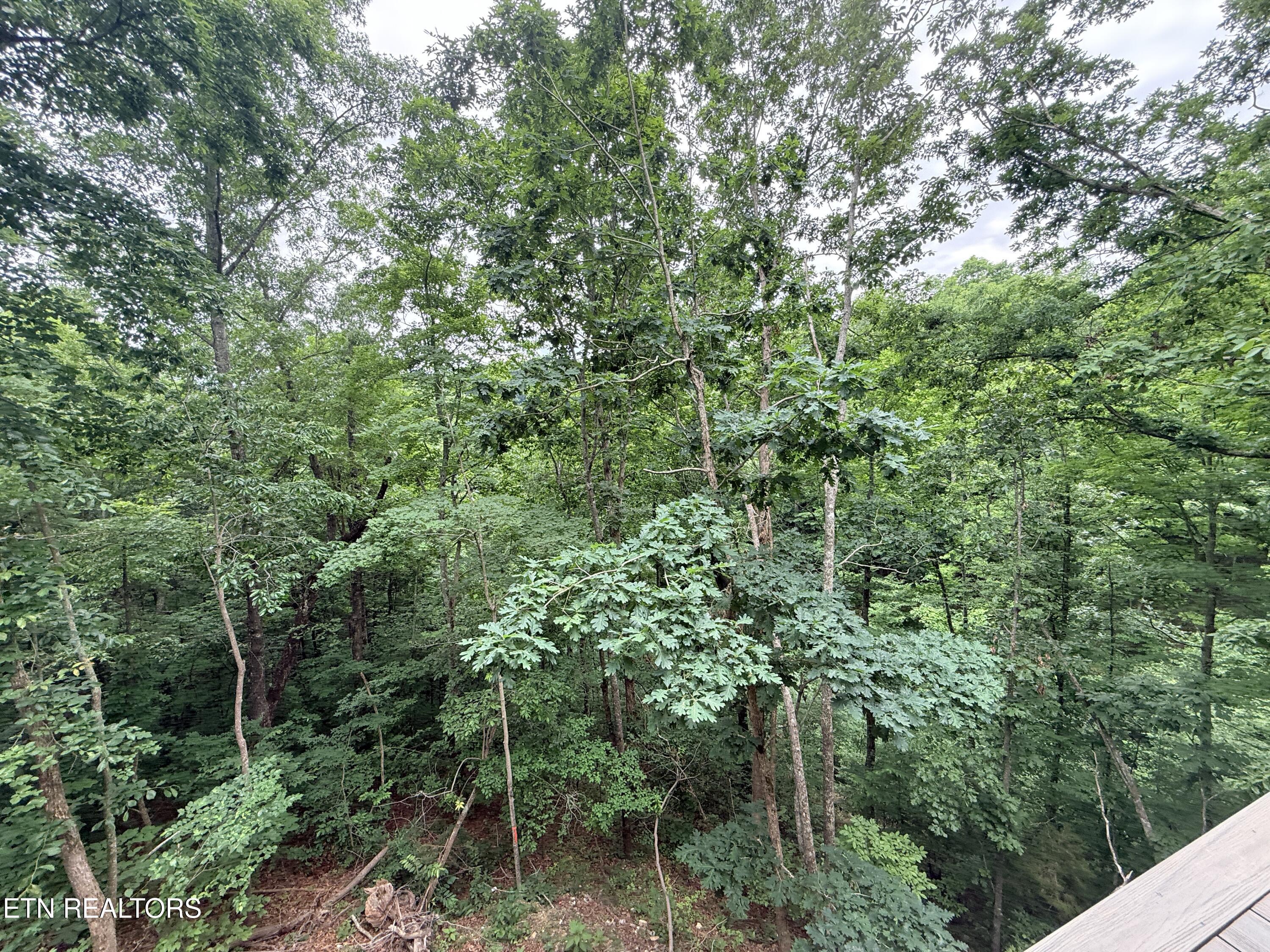 985 Soft Ridge Road Celina TN 38551