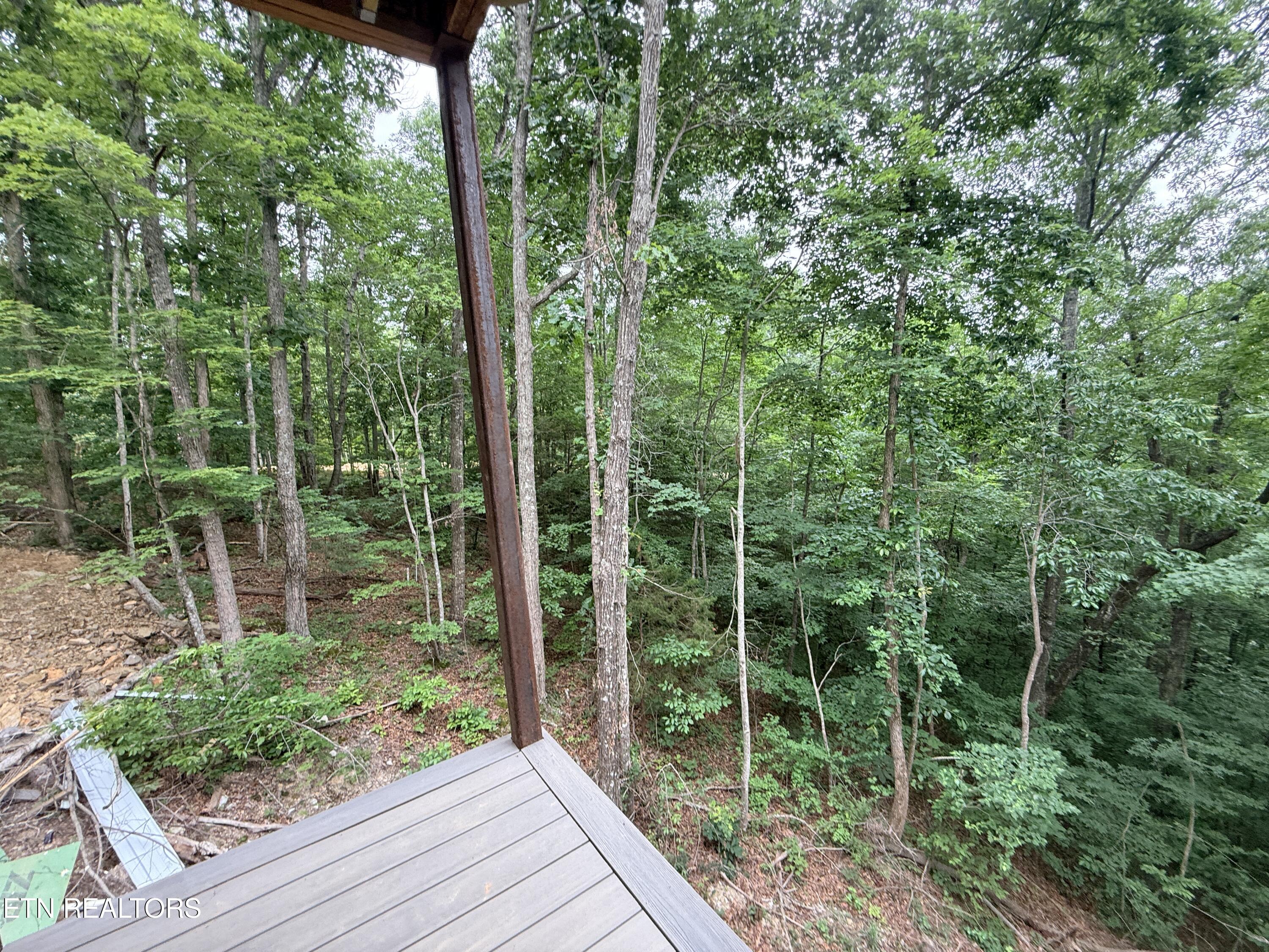 985 Soft Ridge Road Celina TN 38551