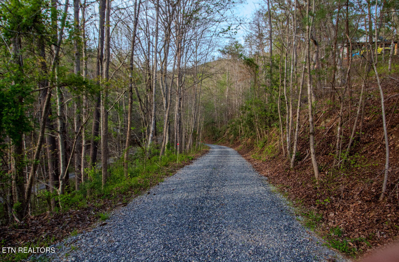 472 Highway 107 Del Rio TN 37727