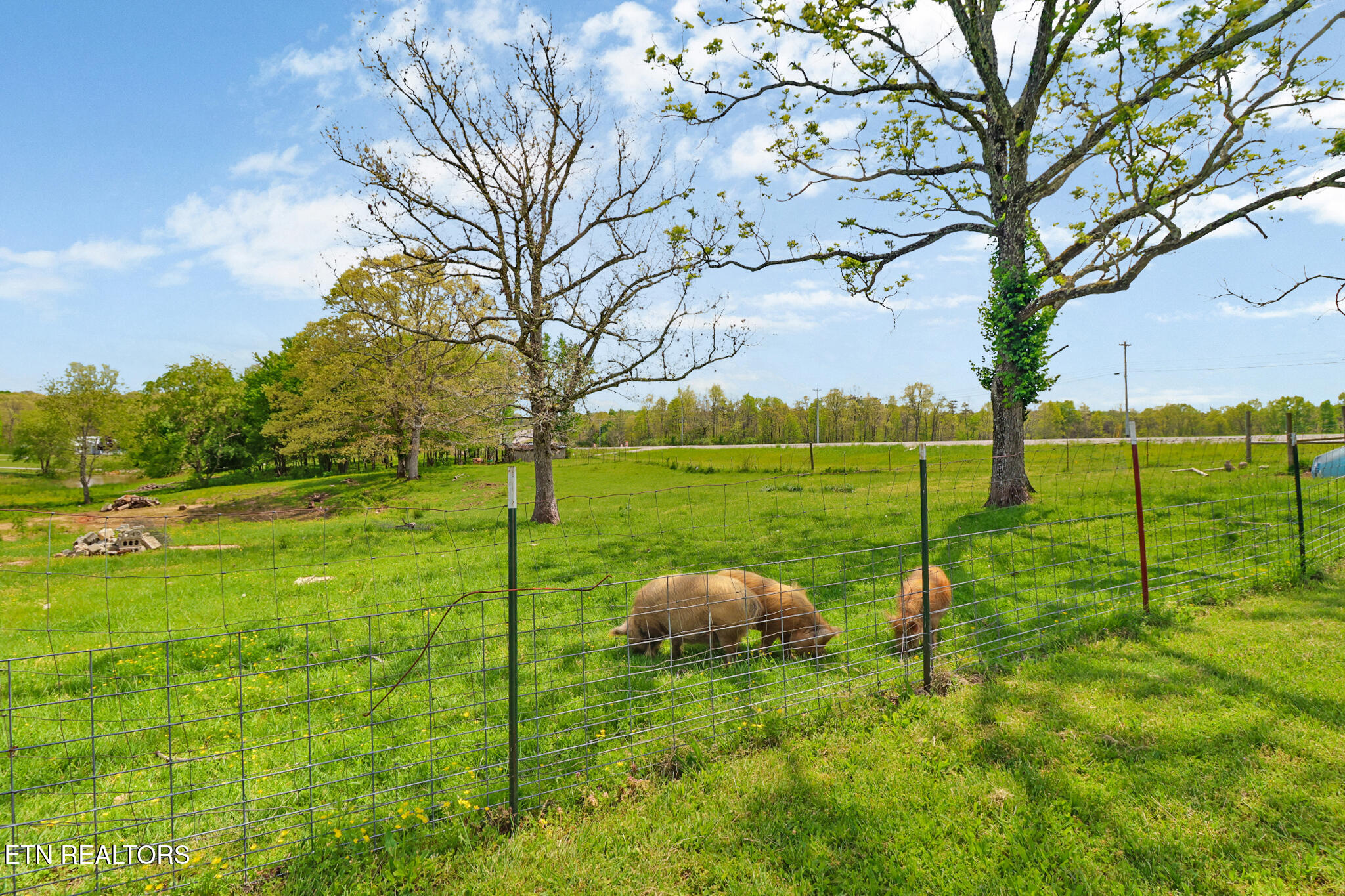 6808 Highway 127 Crossville TN 38571