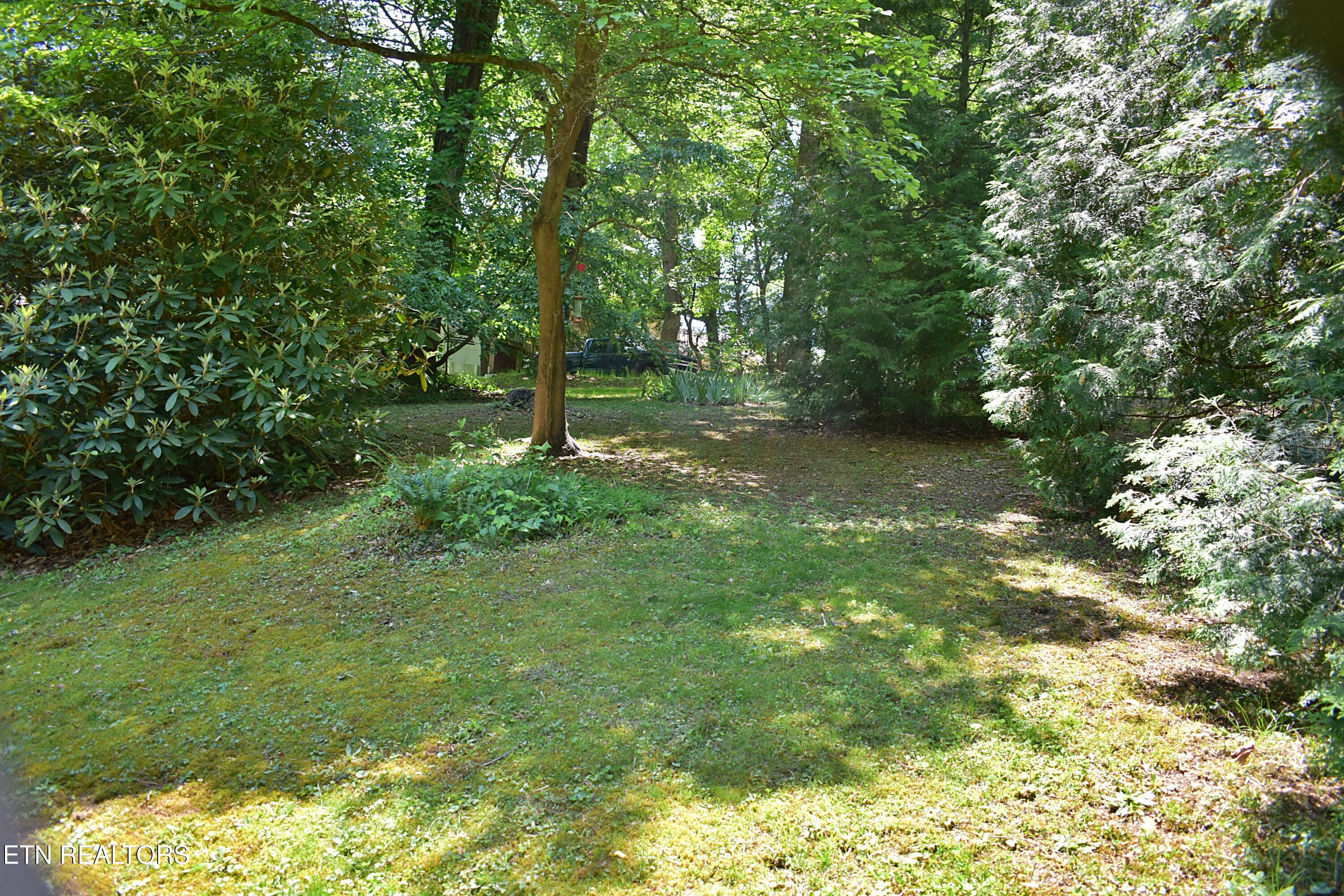 129 Jefferson Street Harrogate TN 37752